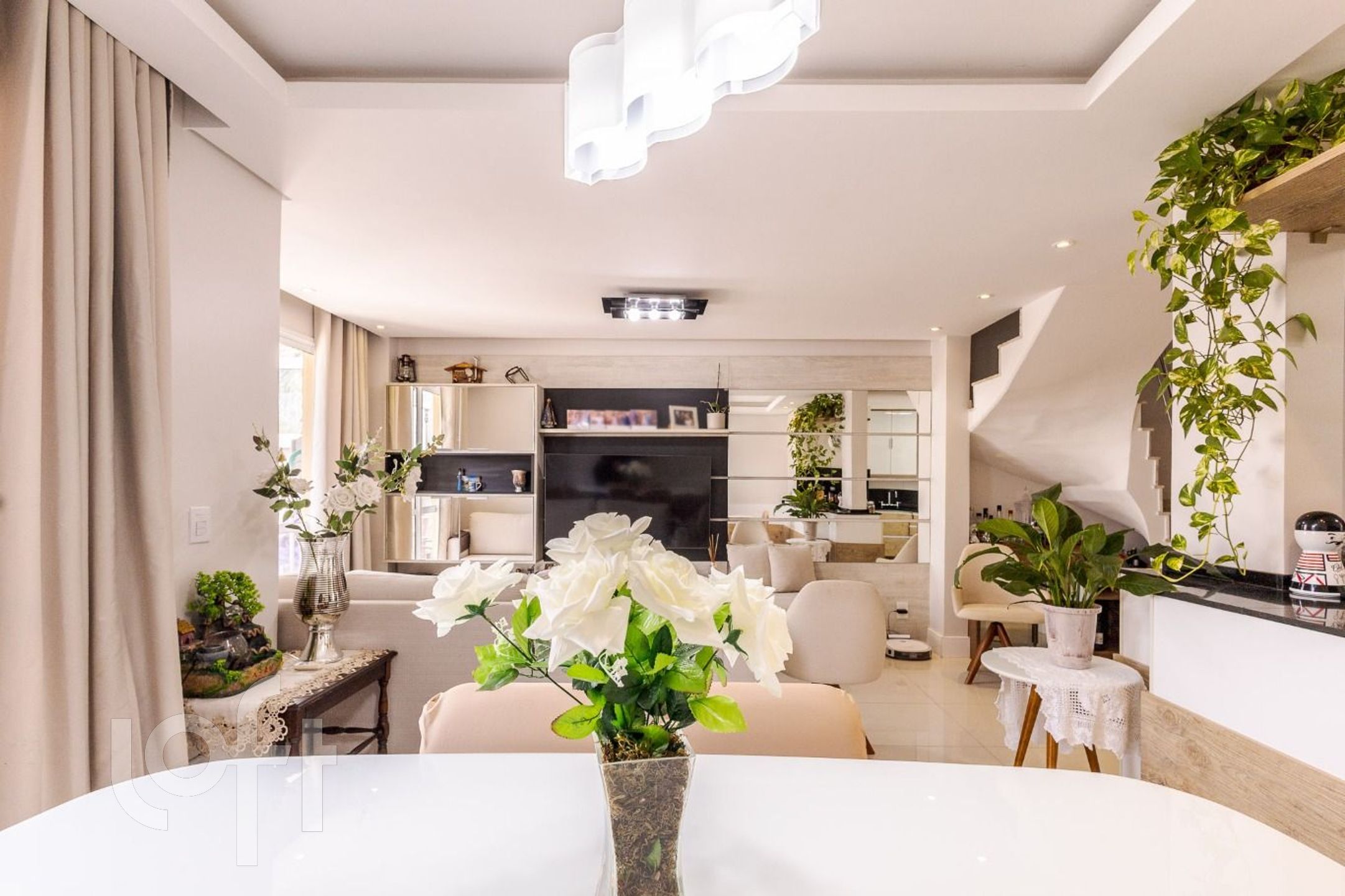 Imagem da propriedade 6