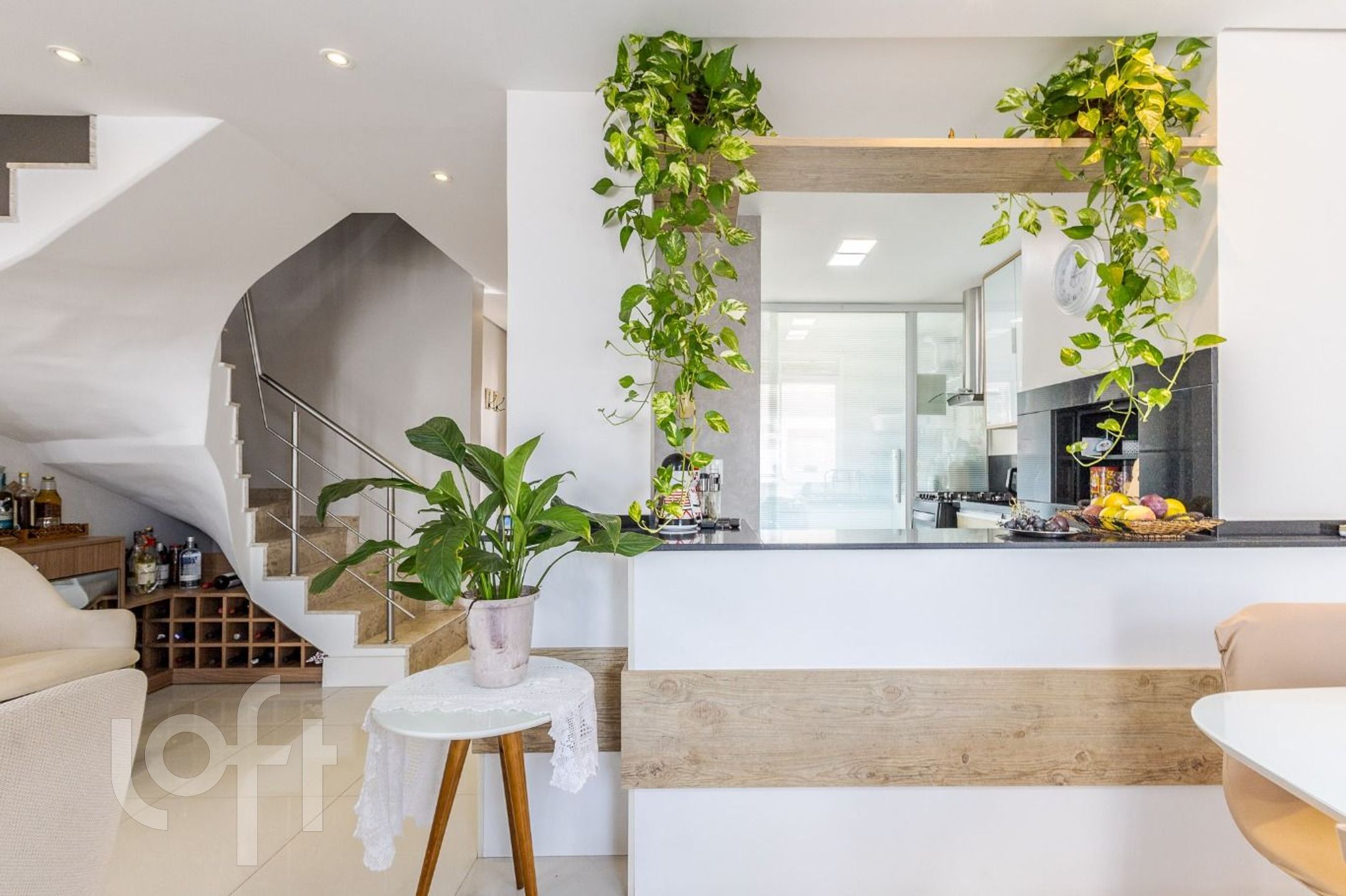 Imagem da propriedade 8