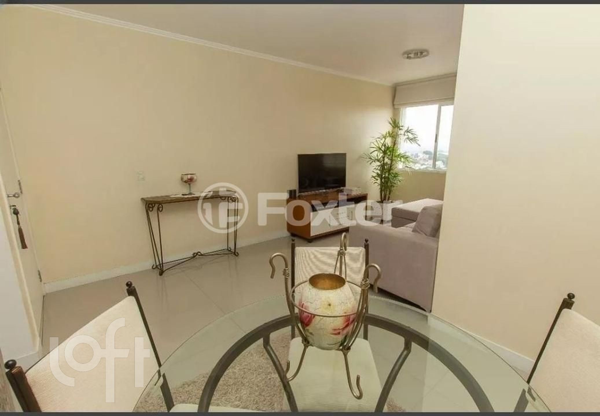 Imagem da propriedade 4