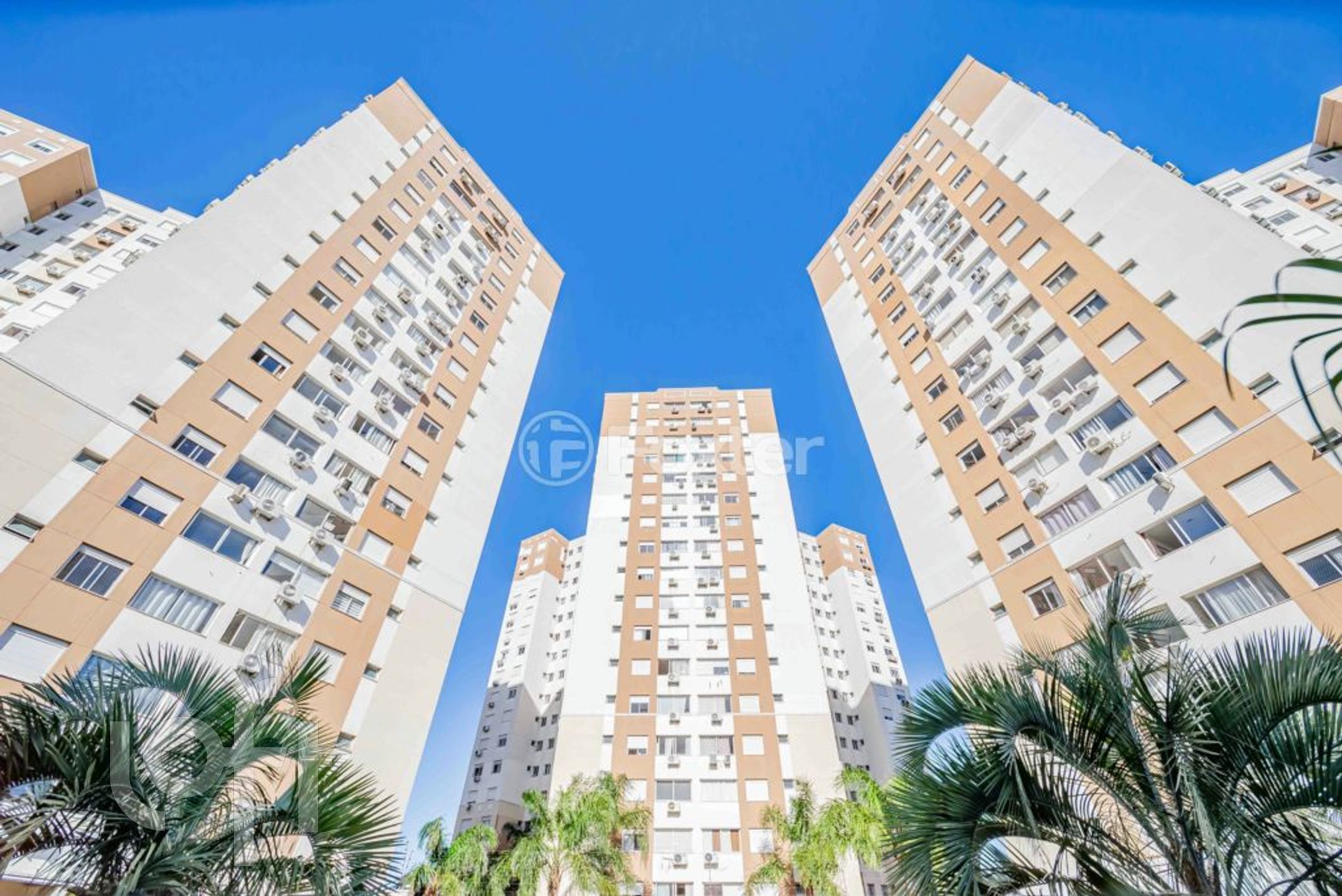 Imagem da propriedade 19