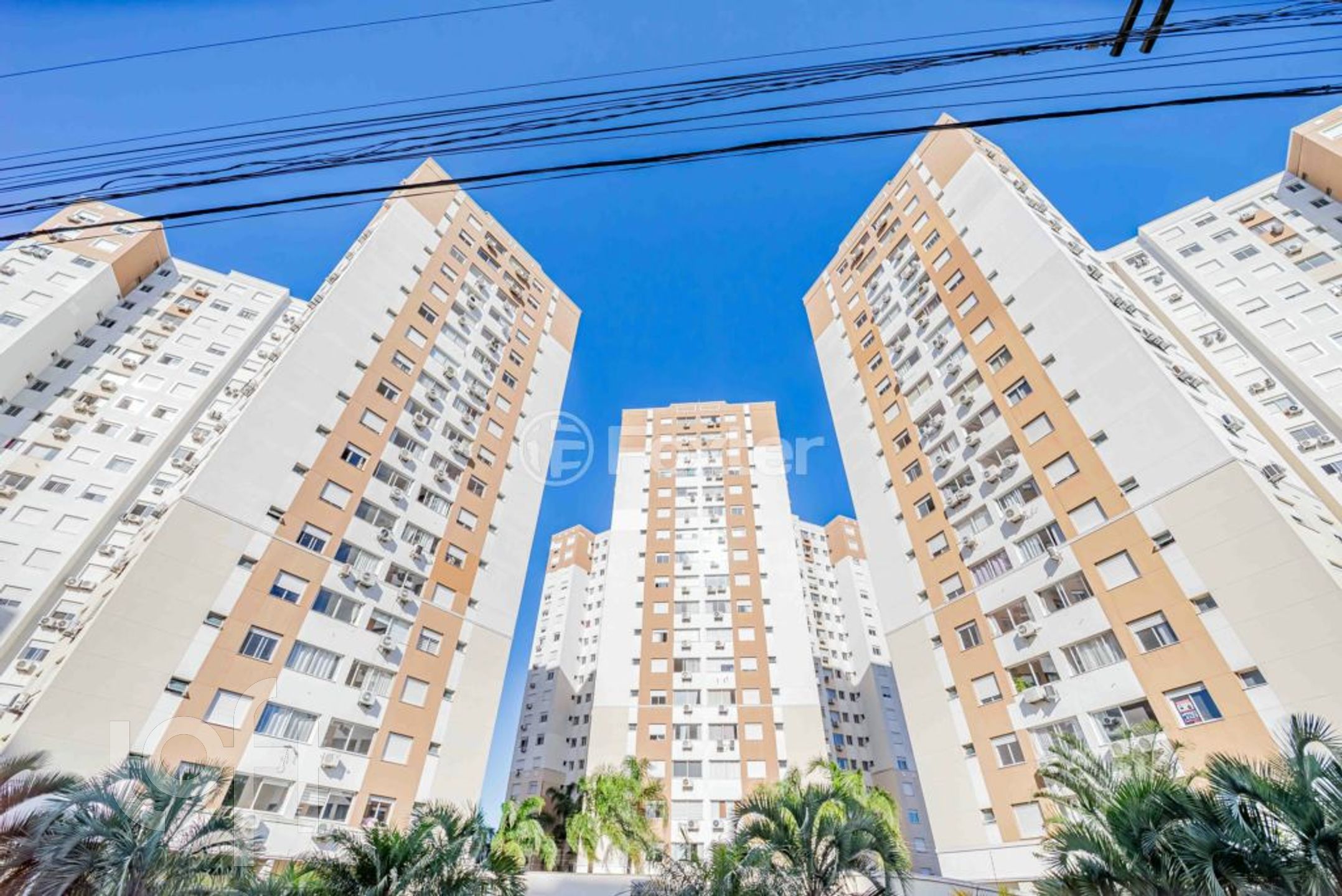 Imagem da propriedade 20