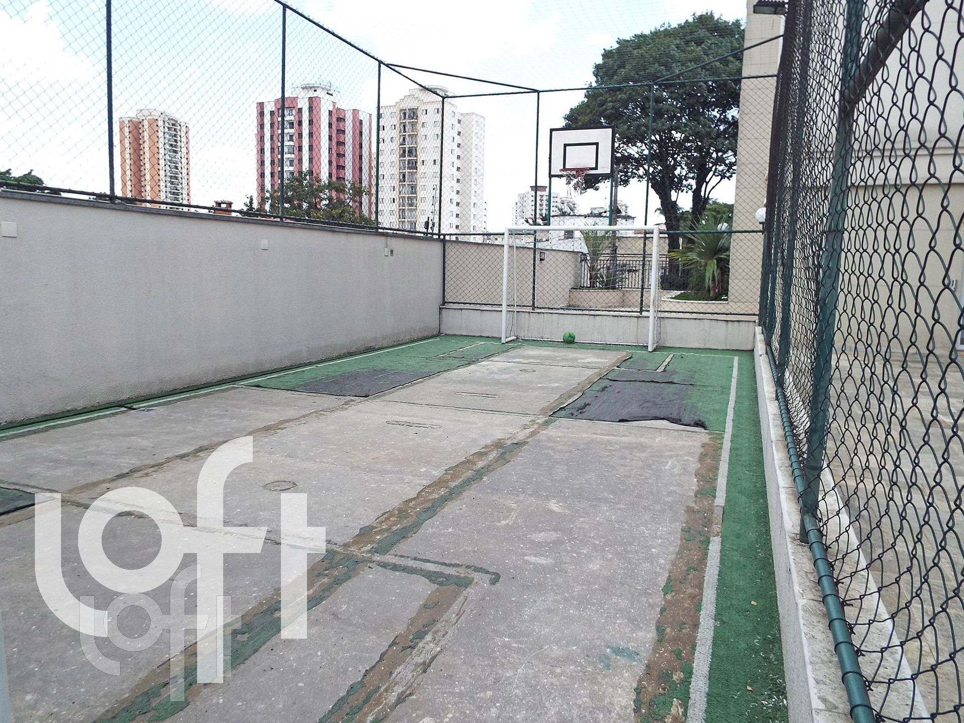 Imagem da propriedade 21