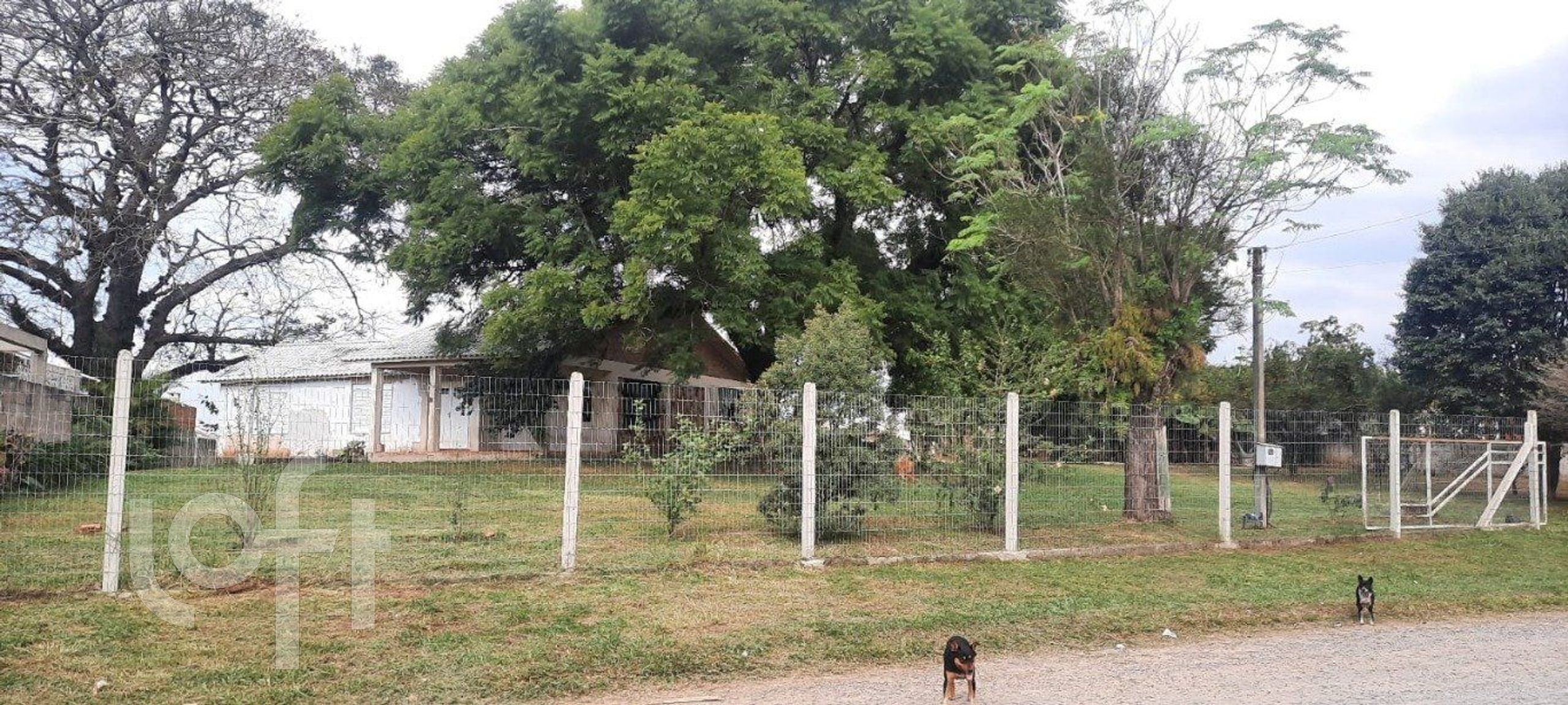 Imagem da propriedade 10