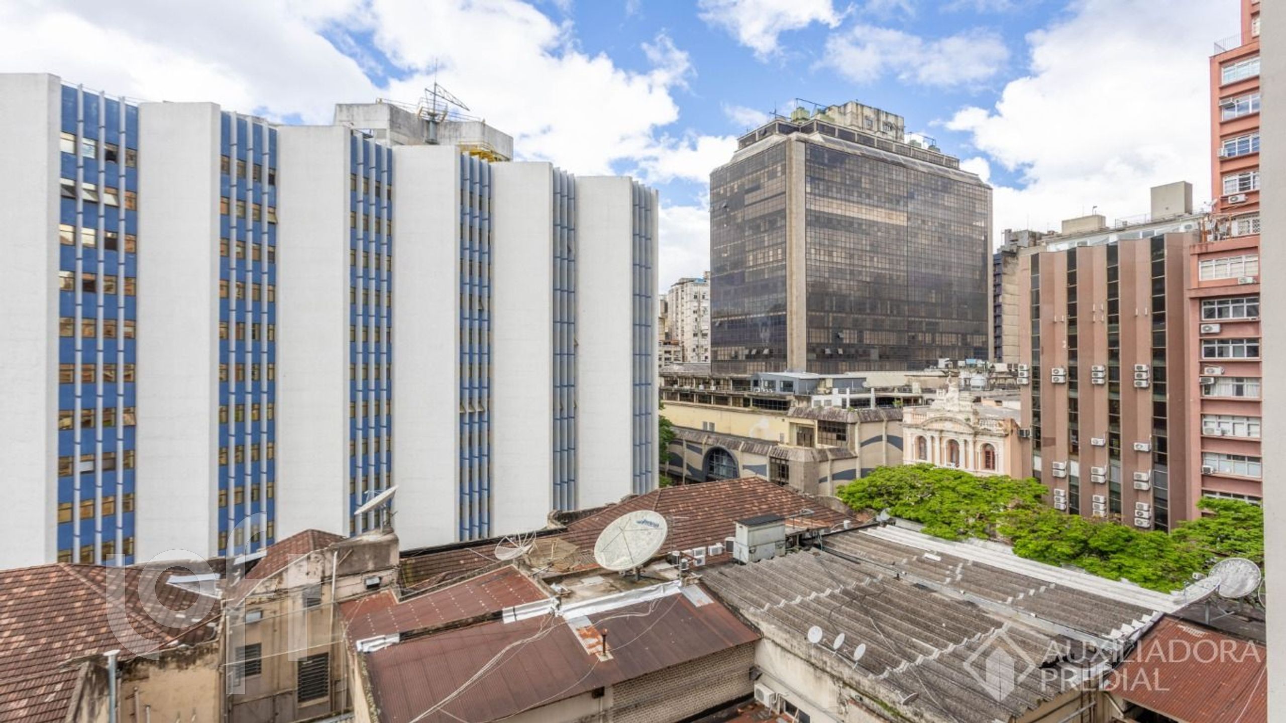 Imagem da propriedade 3