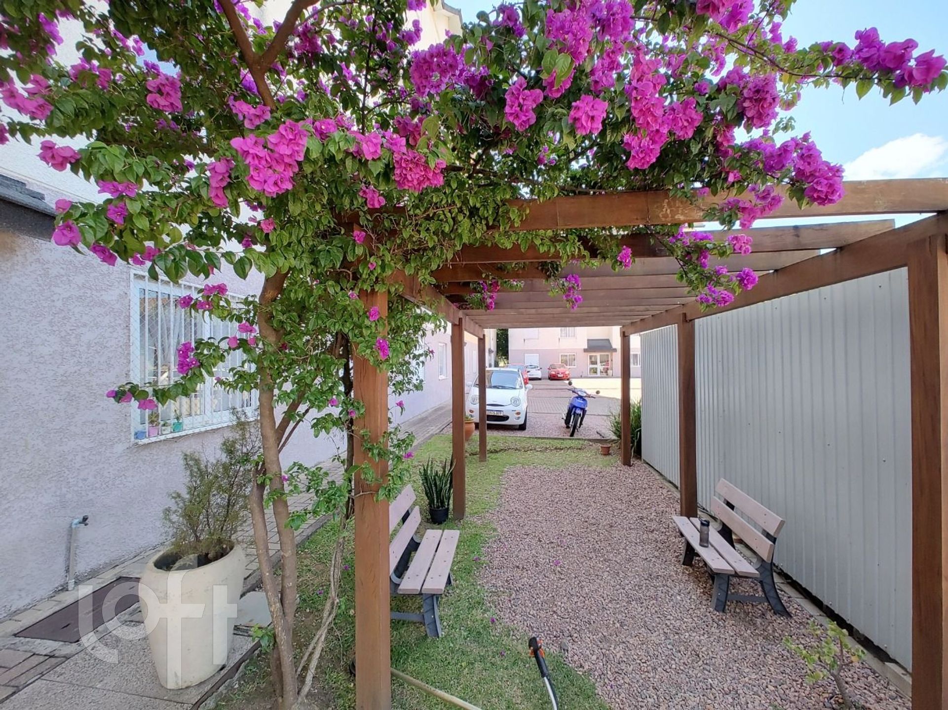 Imagem da propriedade 18