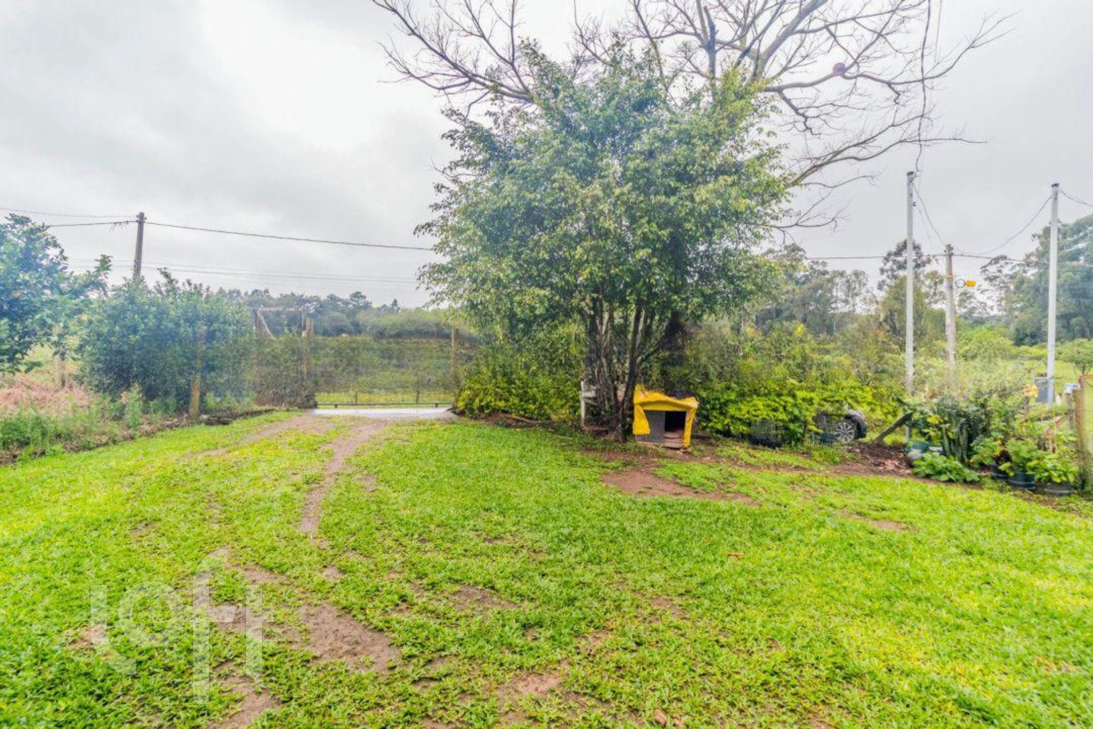 Imagem da propriedade 22