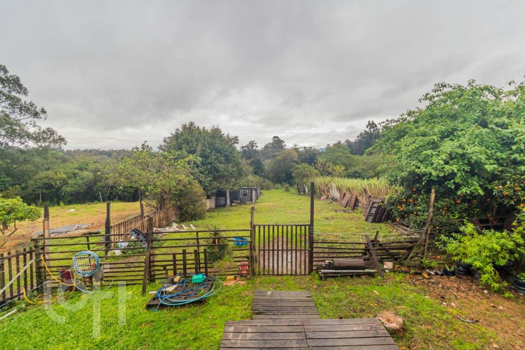 Imagem da propriedade 13