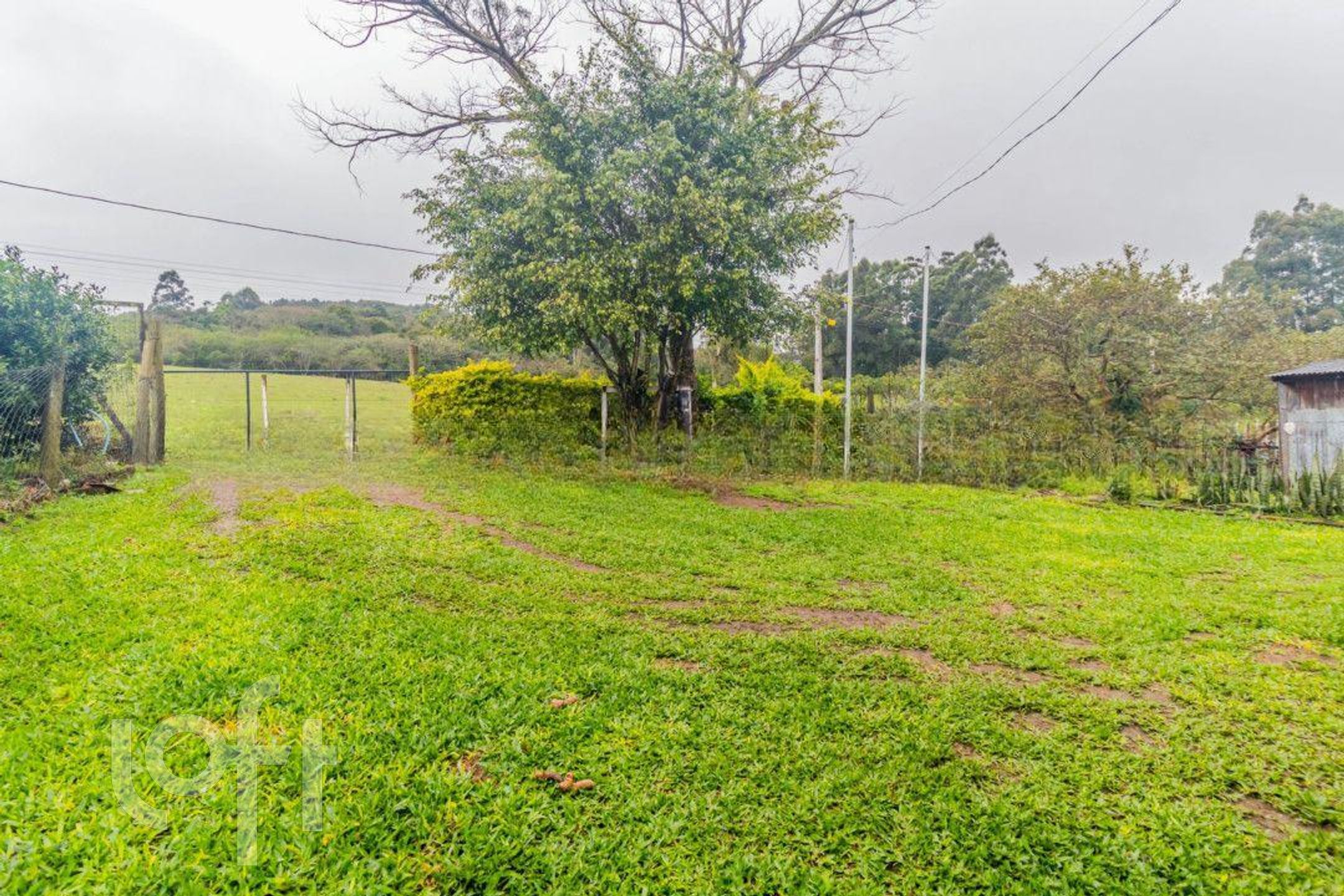 Imagem da propriedade 21