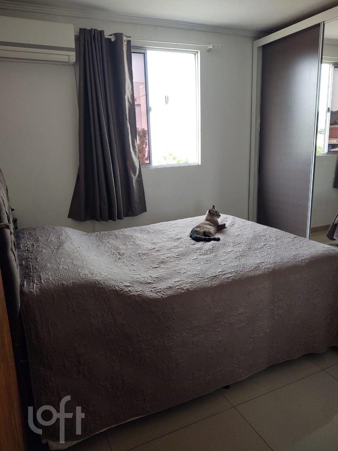 Imagem da propriedade 12