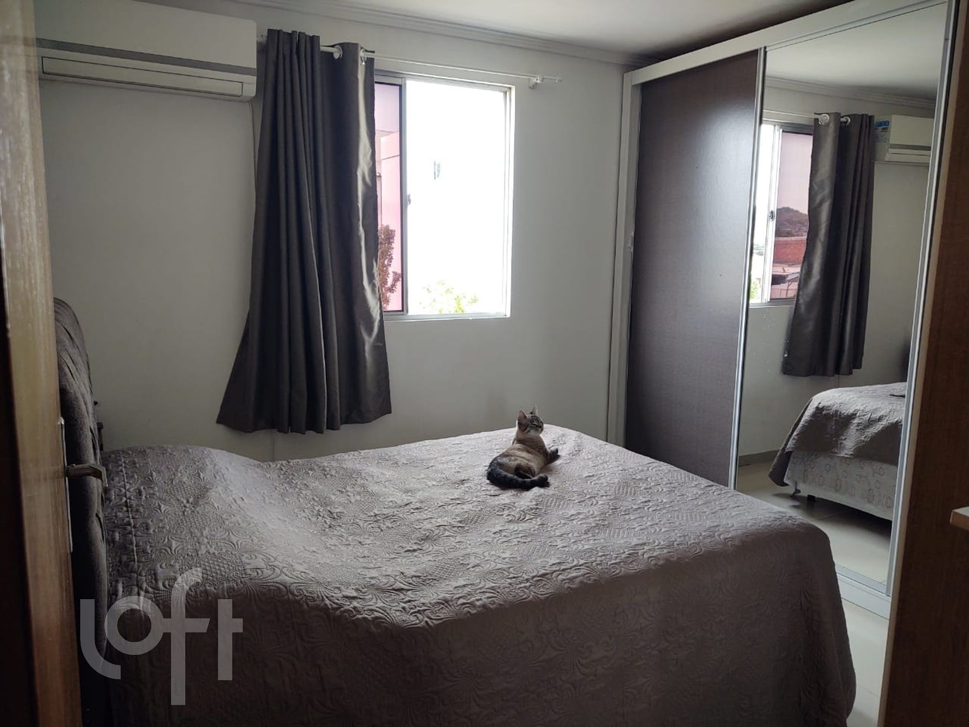 Imagem da propriedade 11