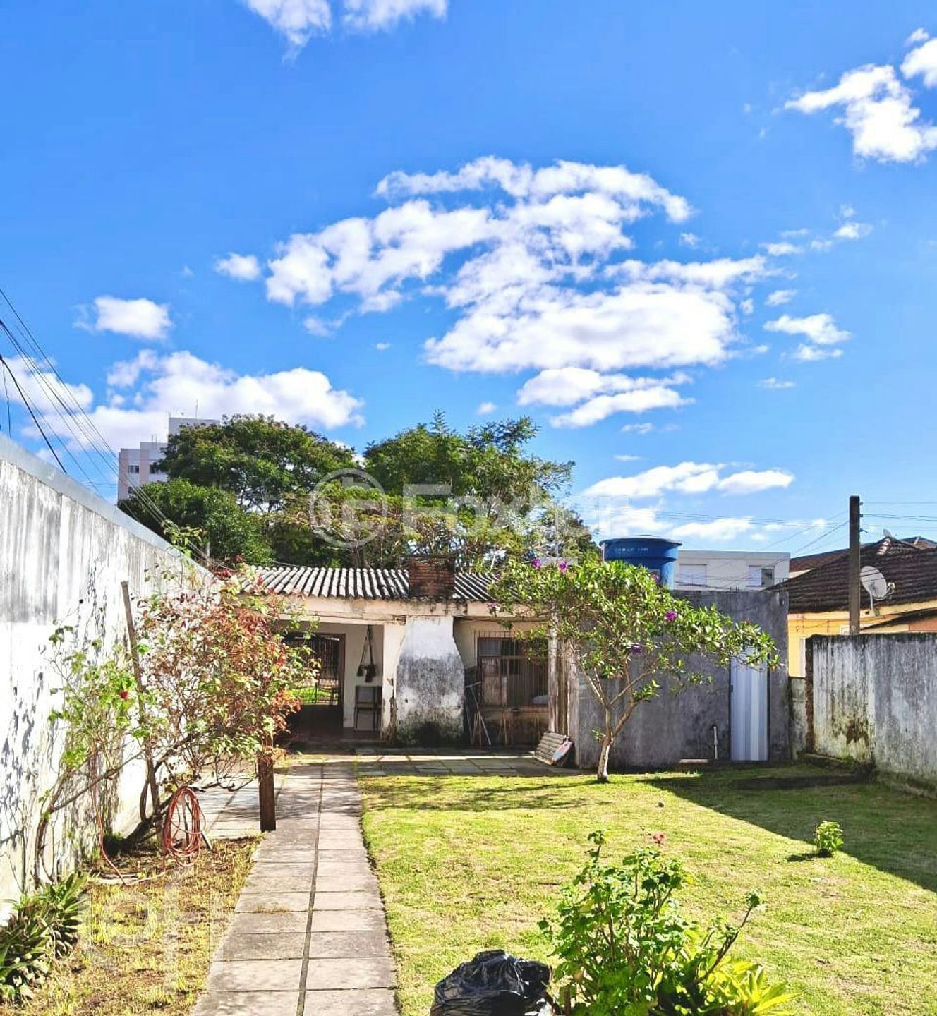 Imagem da propriedade 3