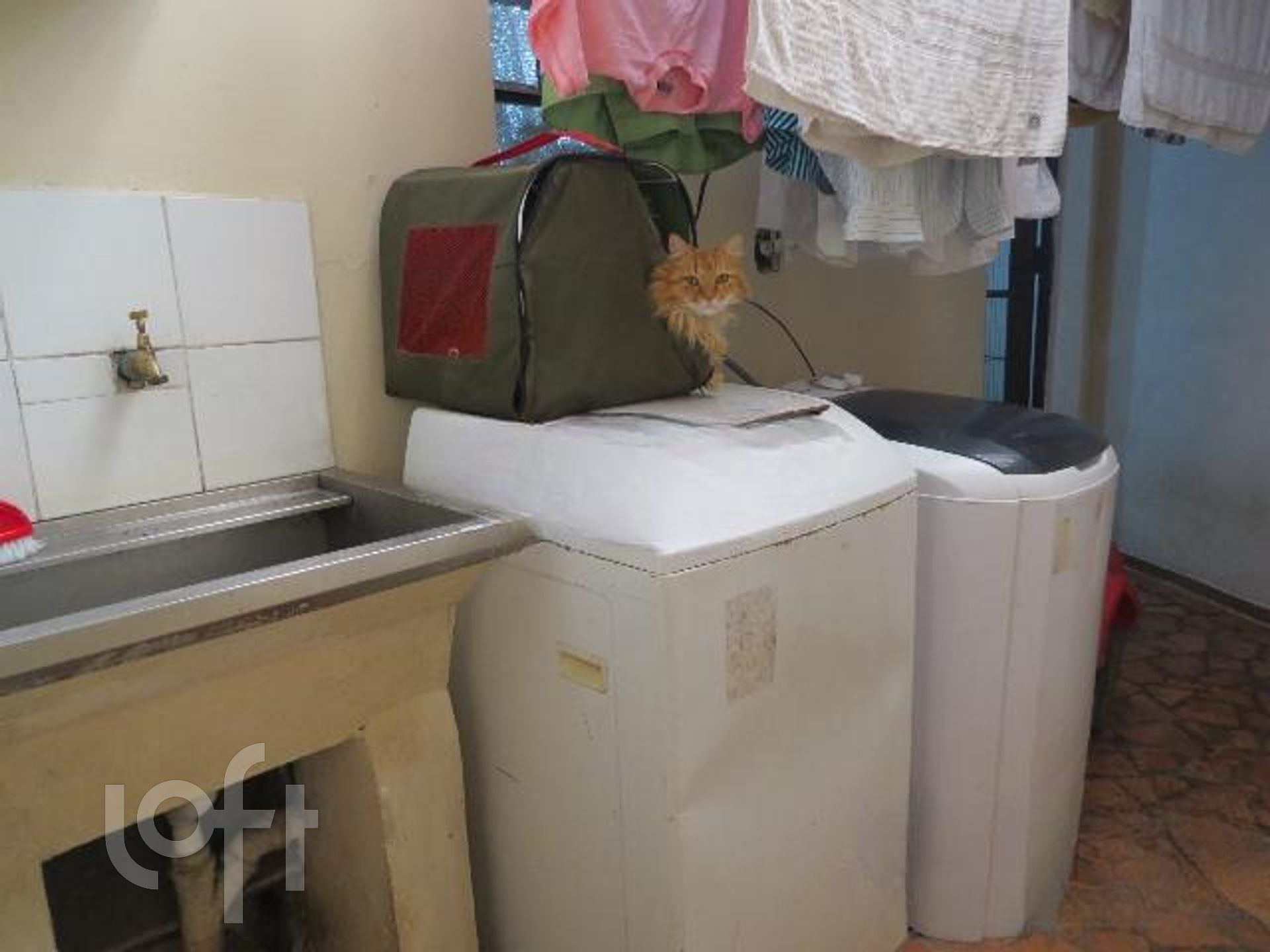 Imagem da propriedade 36