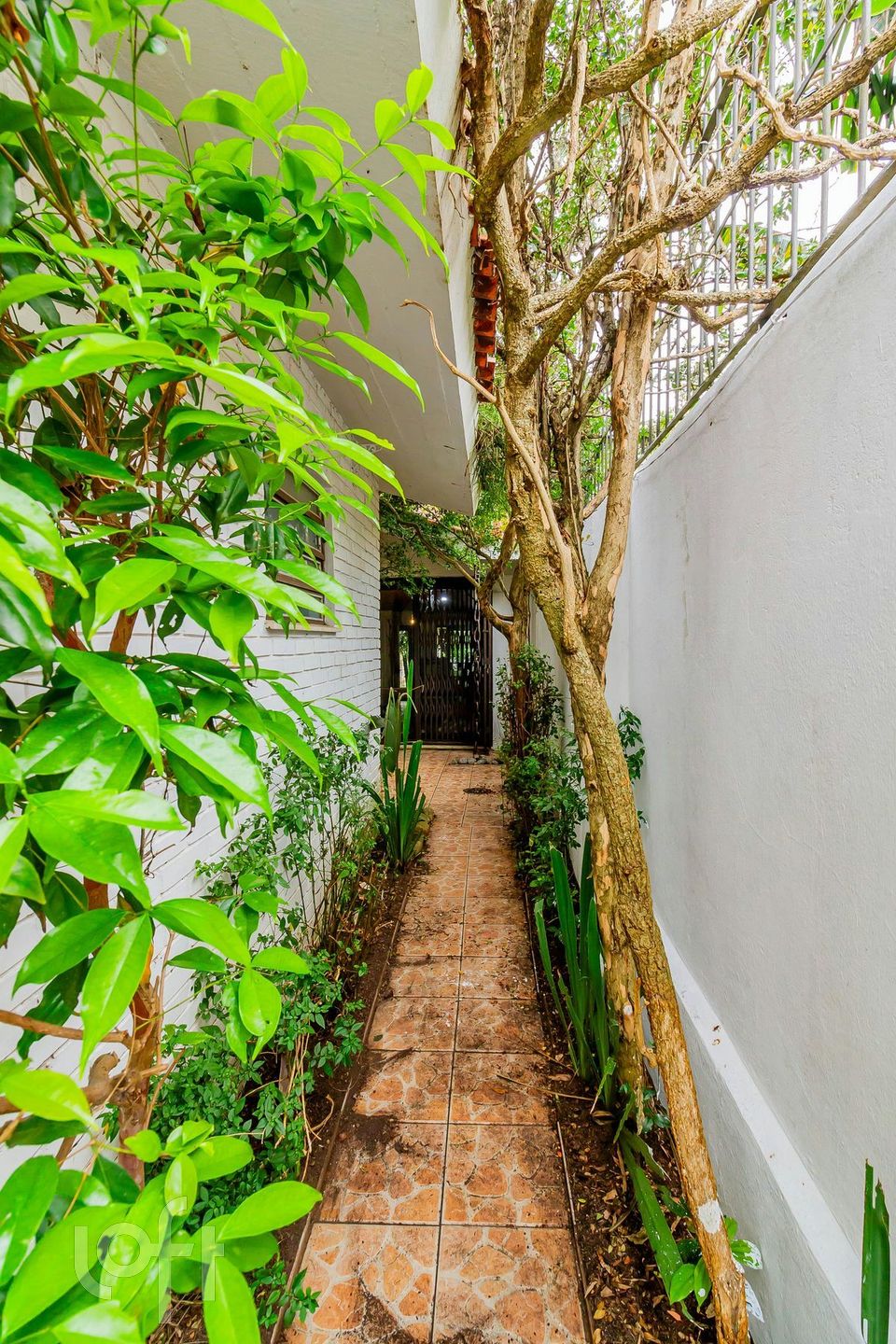 Imagem da propriedade 58