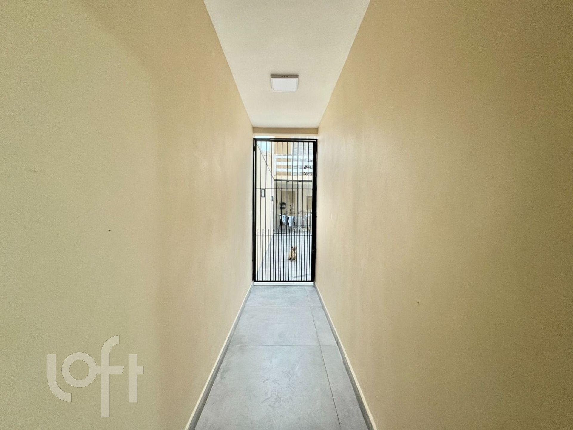 Imagem da propriedade 65