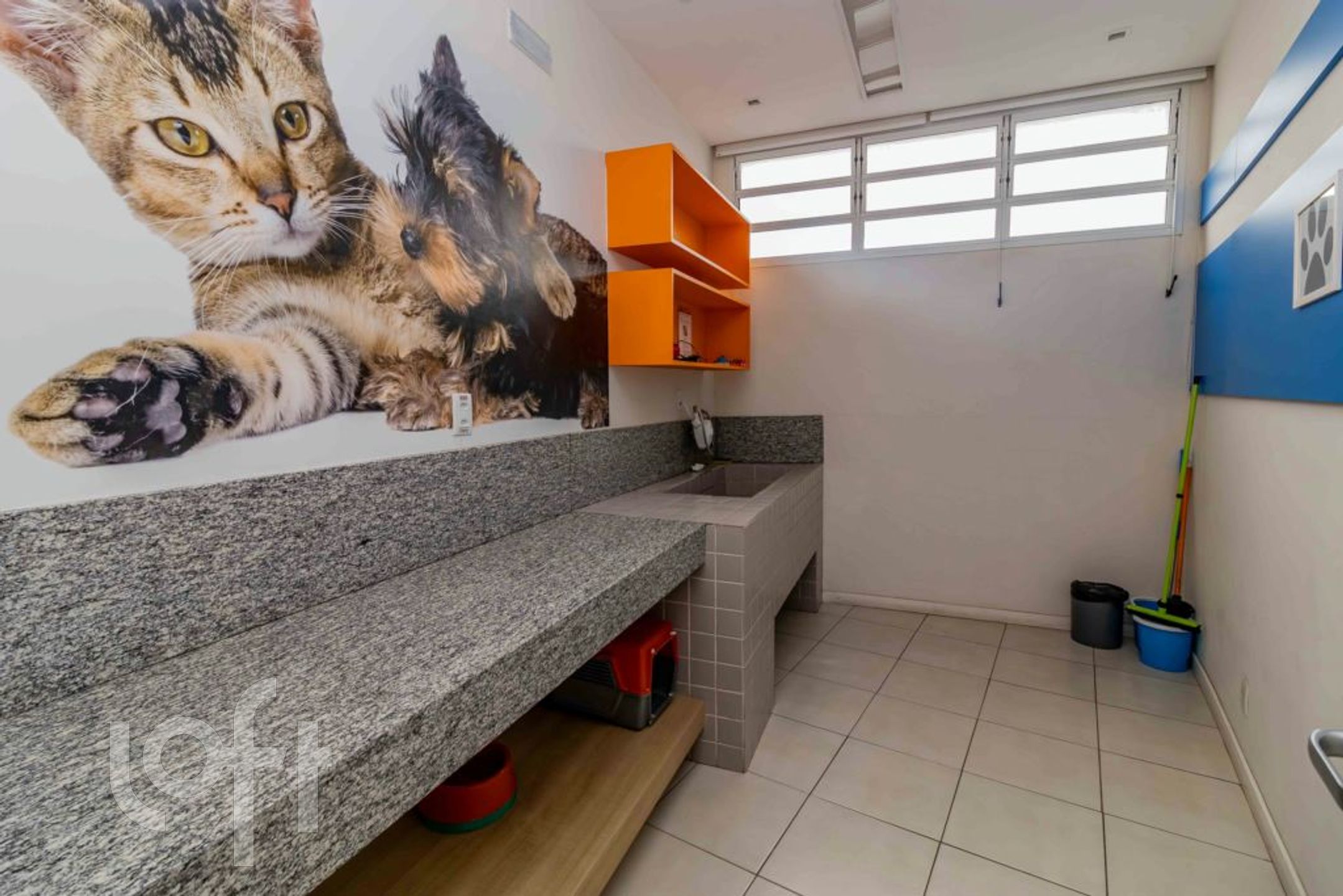 Imagem da propriedade 30