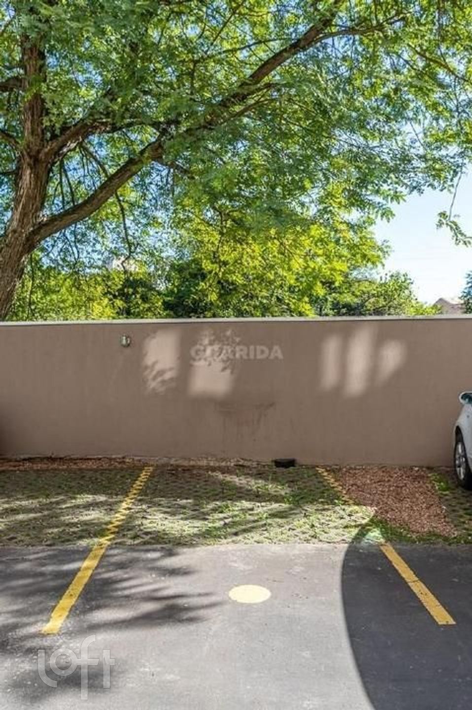 Imagem da propriedade 20