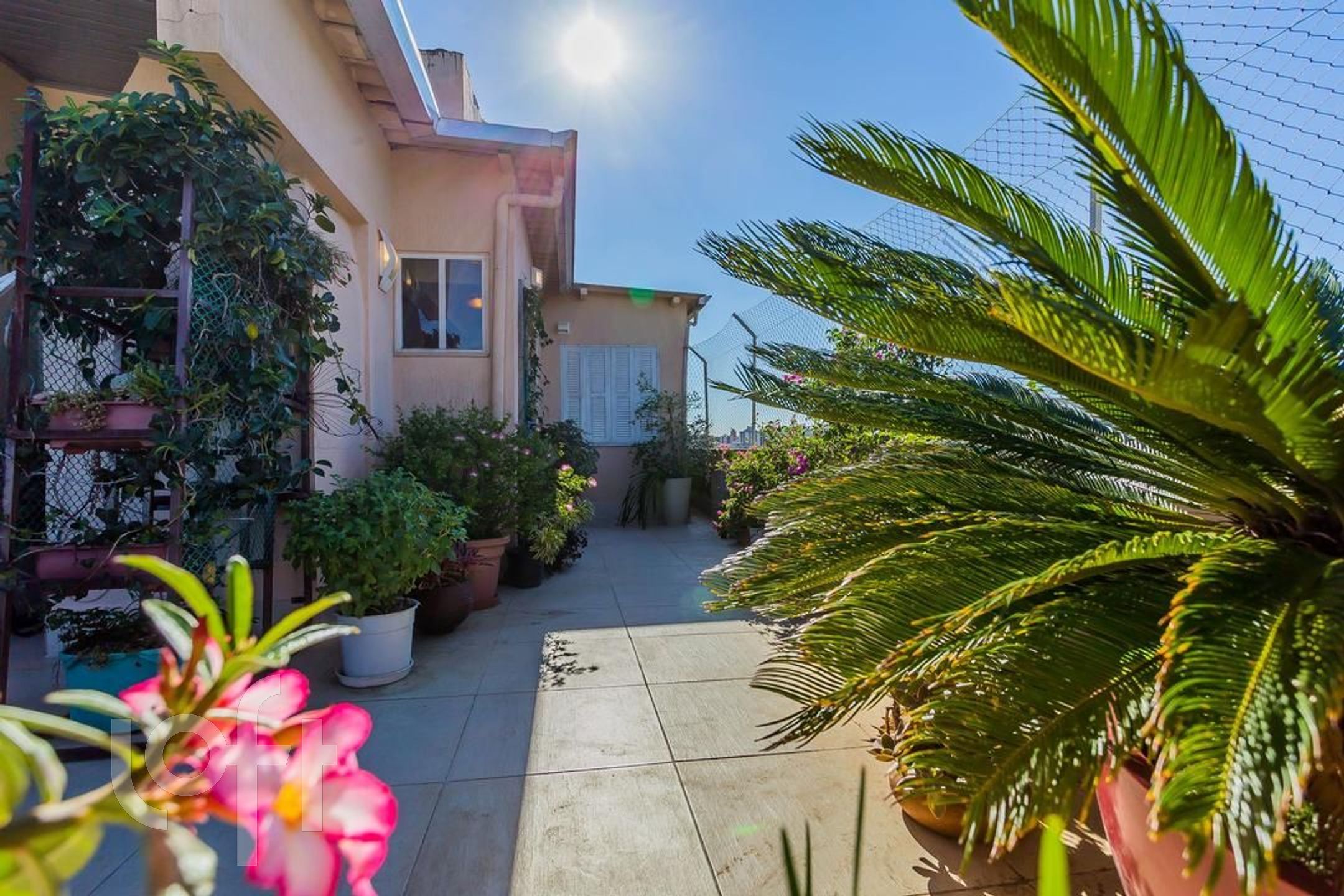 Imagem da propriedade 32