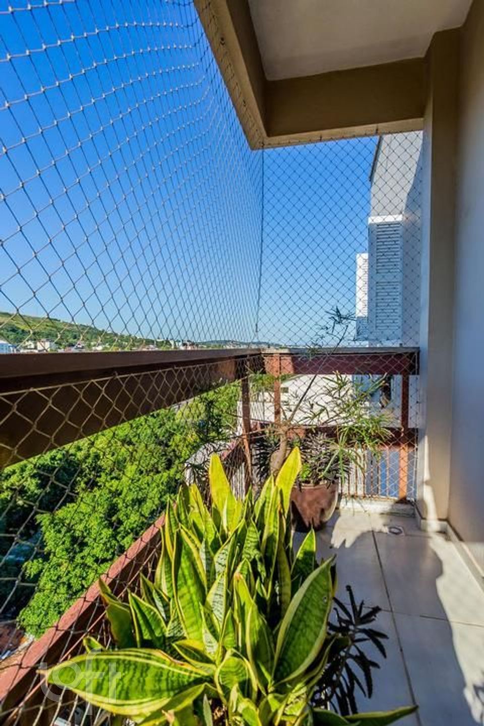 Imagem da propriedade 9