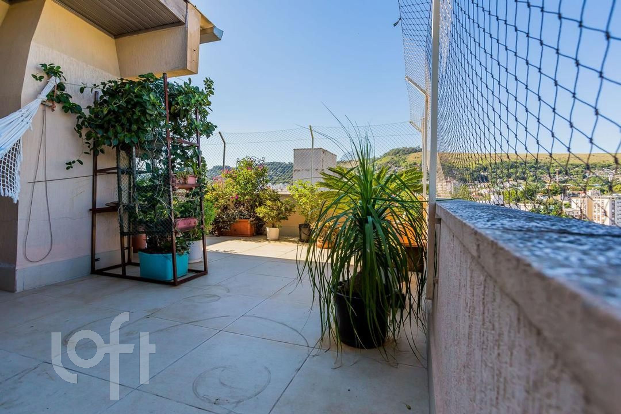 Imagem da propriedade 31