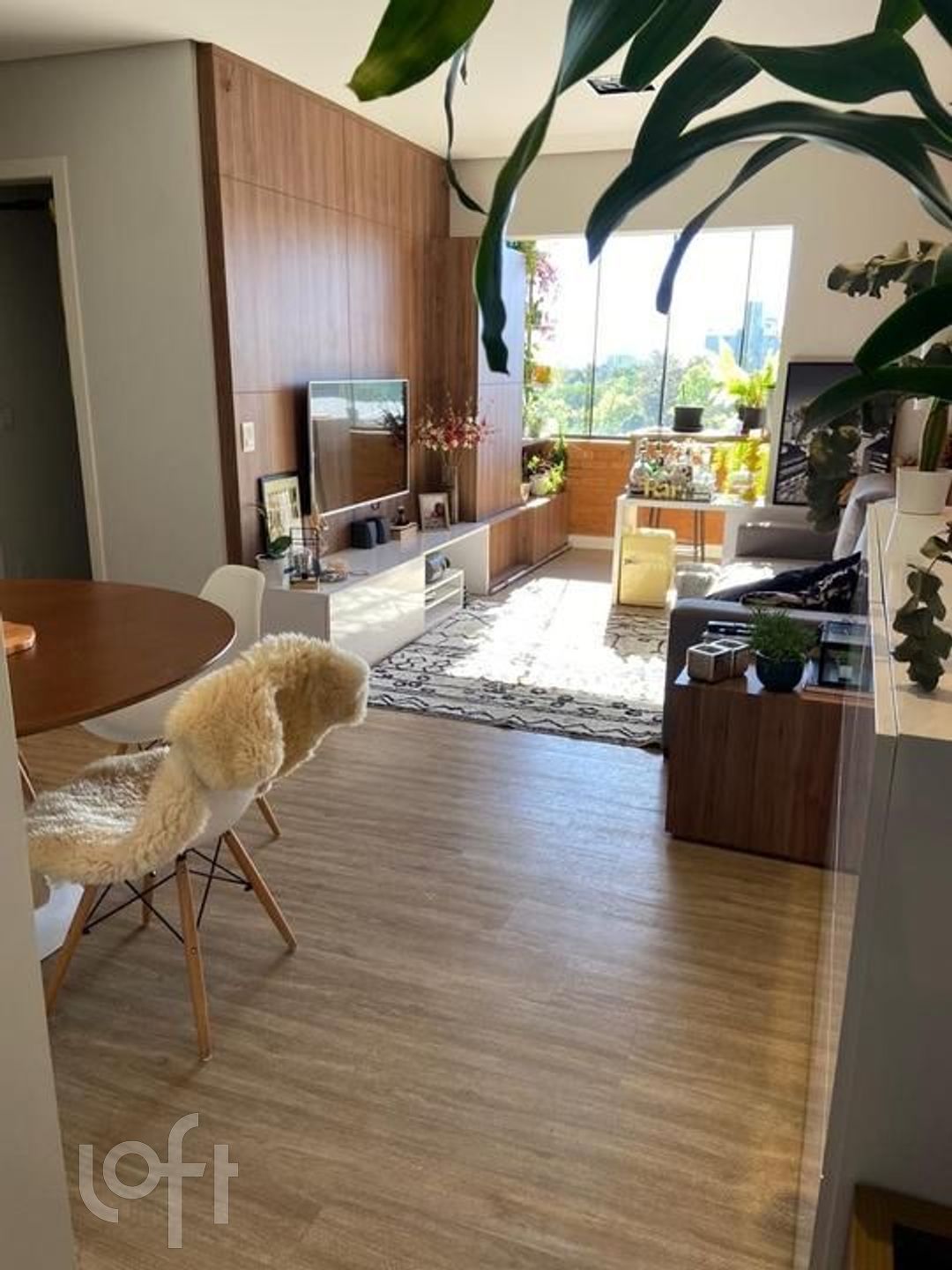 Imagem da propriedade 43