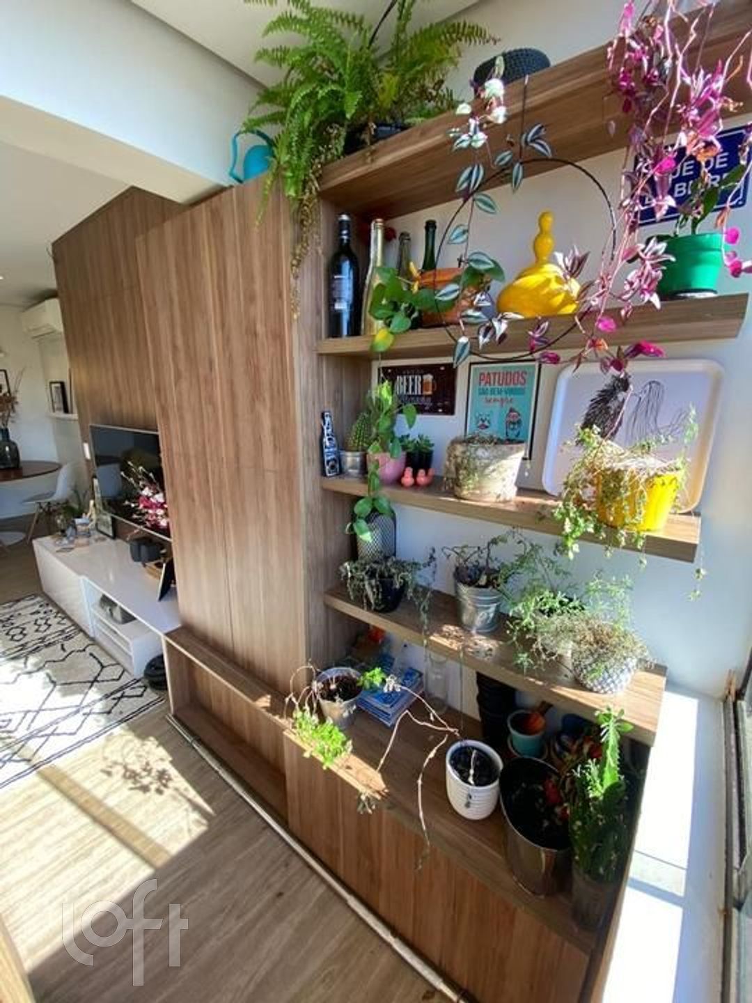 Imagem da propriedade 3