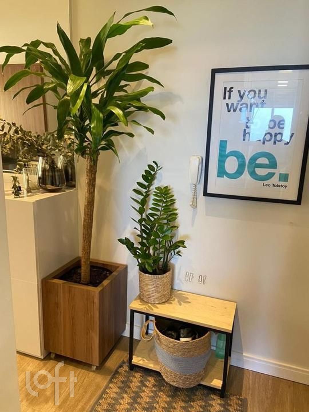 Imagem da propriedade 51