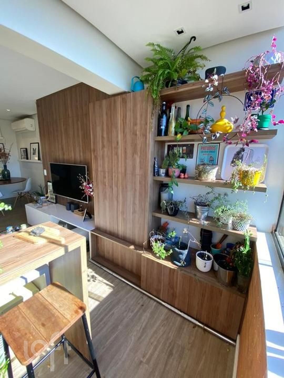 Imagem da propriedade 9