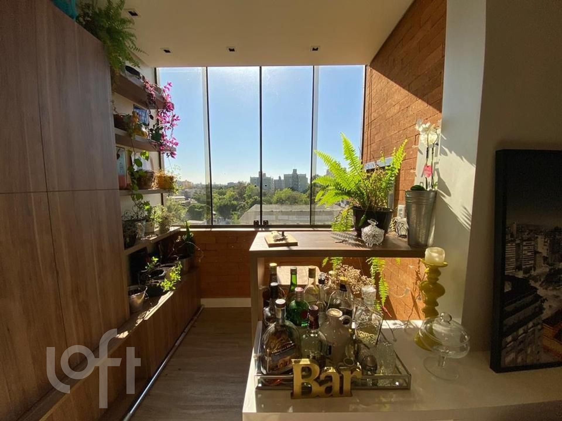 Imagem da propriedade 7