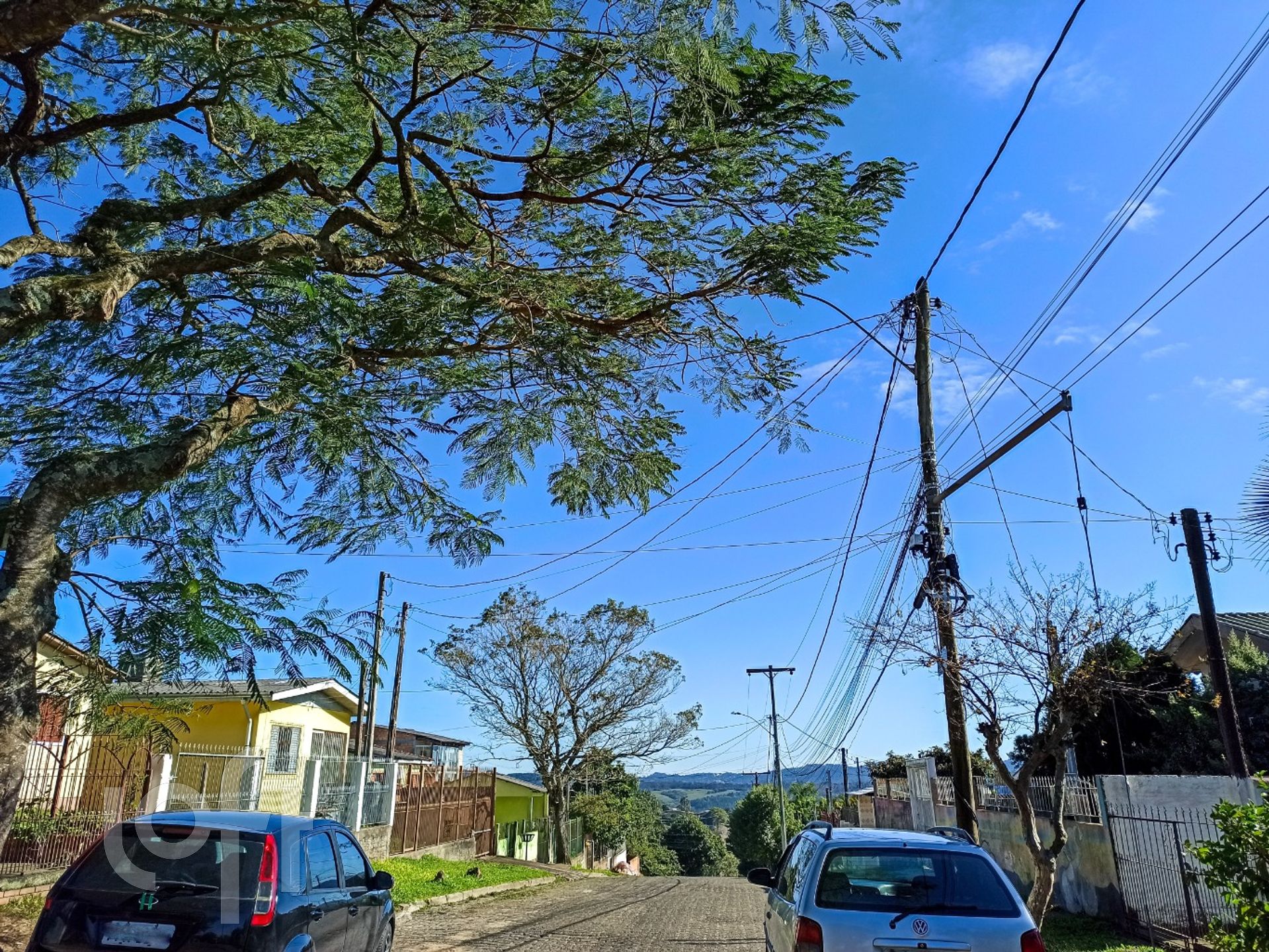 Imagem da propriedade 33