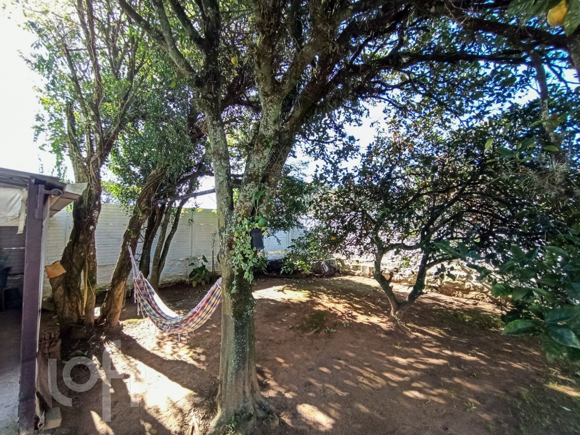 Imagem da propriedade 30