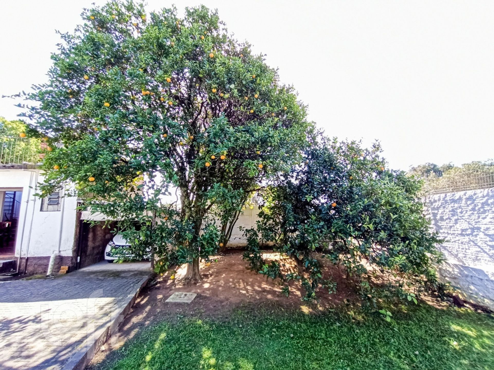 Imagem da propriedade 29