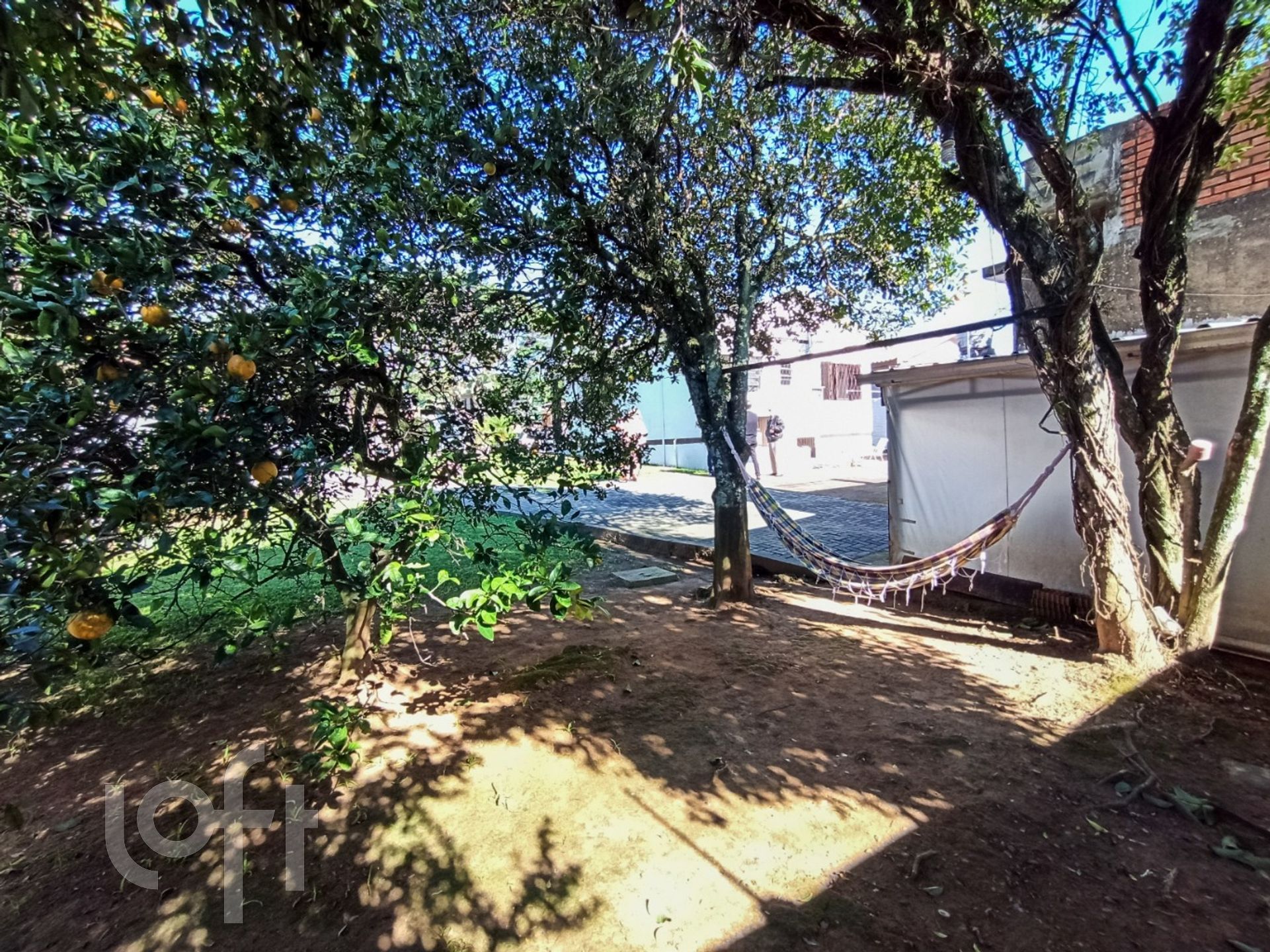 Imagem da propriedade 28