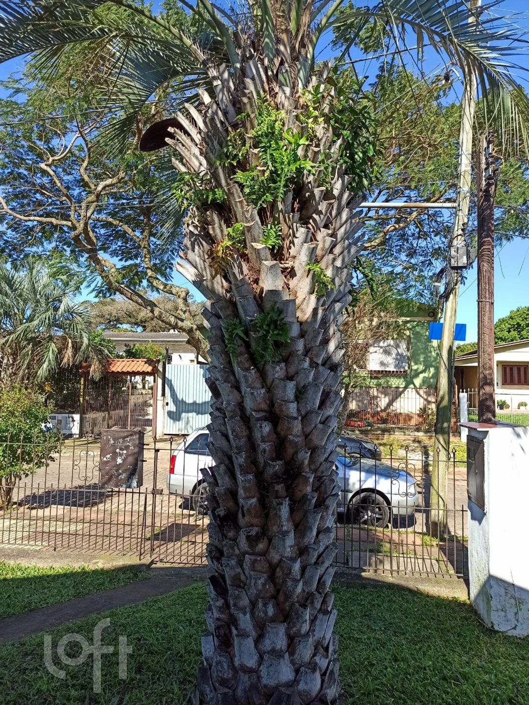 Imagem da propriedade 8