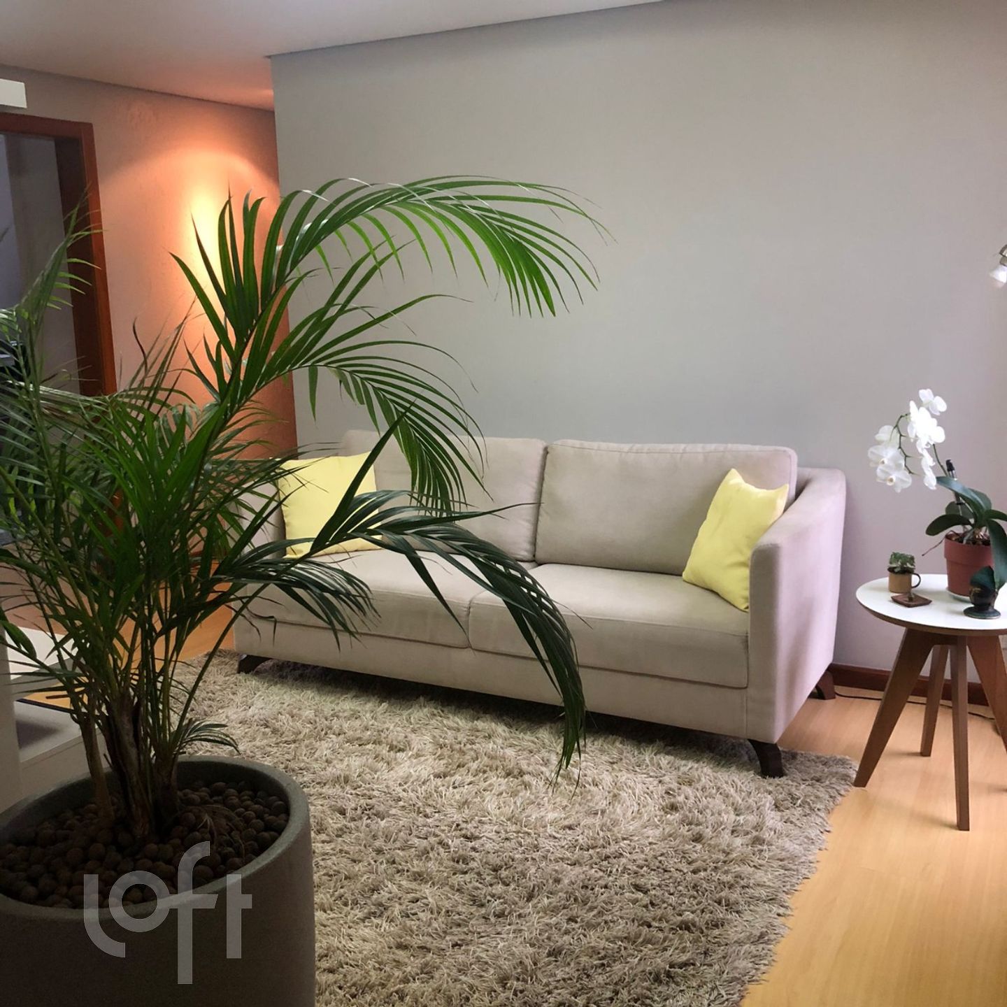 Imagem da propriedade 2