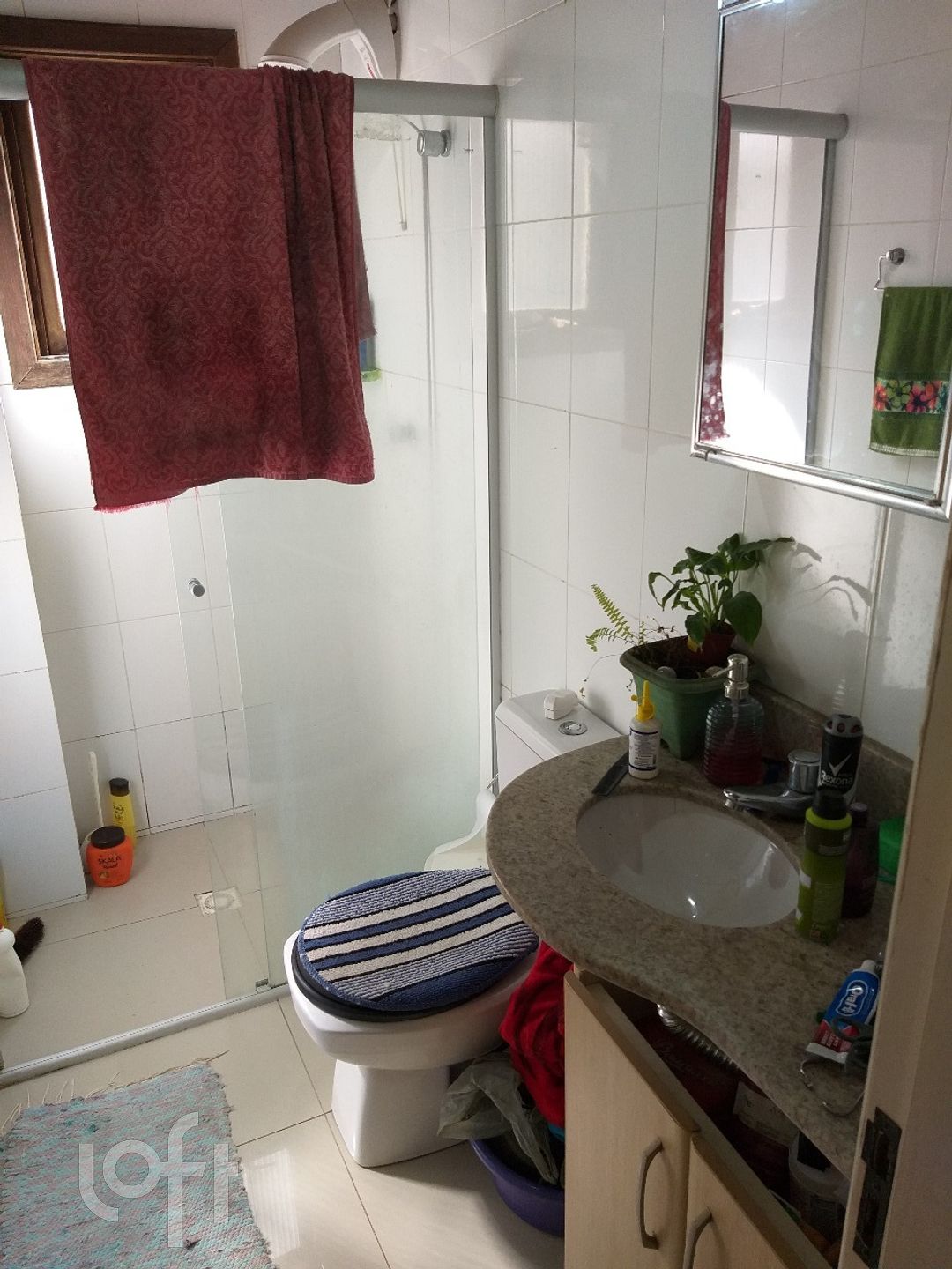 Imagem da propriedade 11