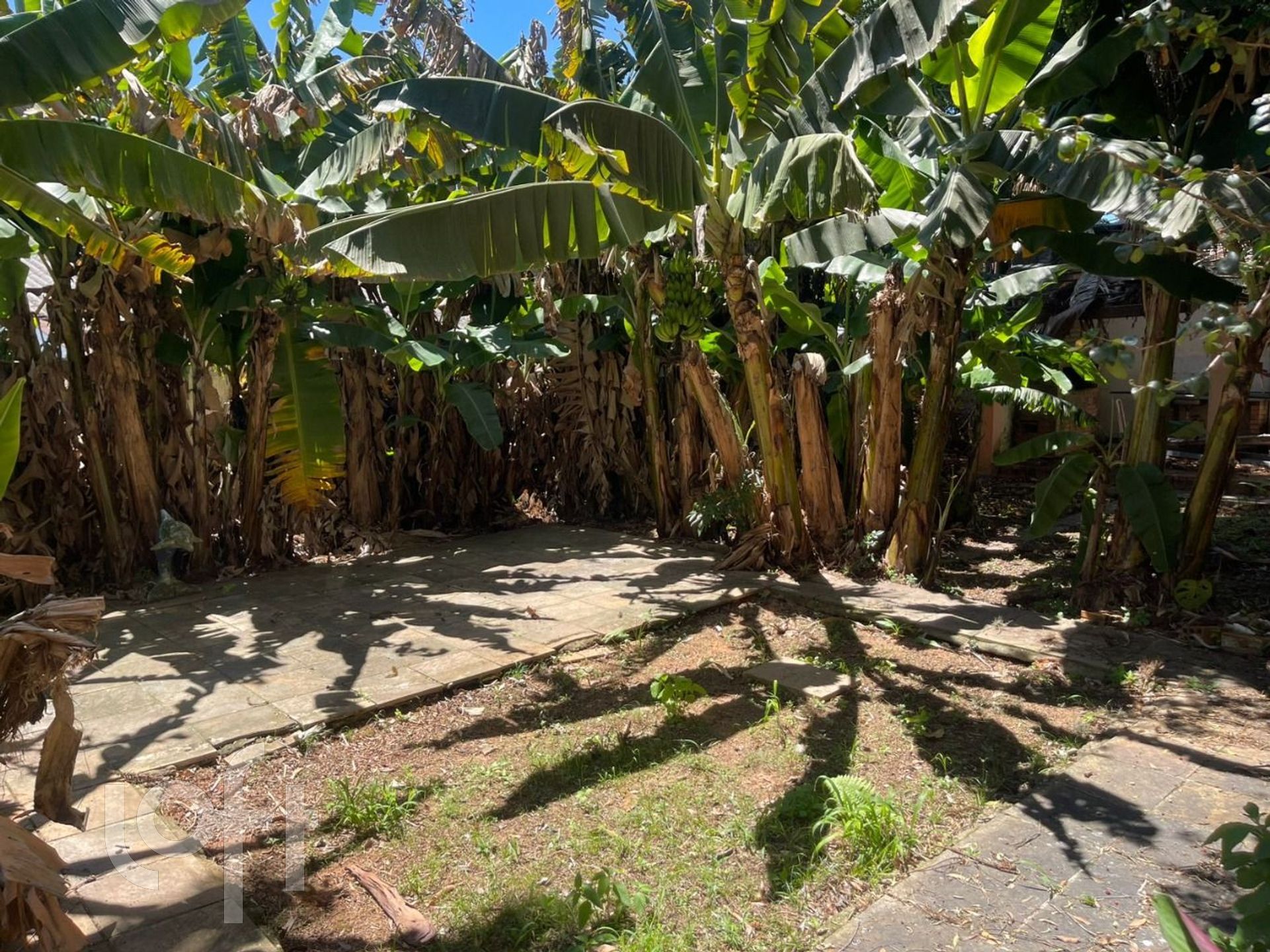 Imagem da propriedade 10