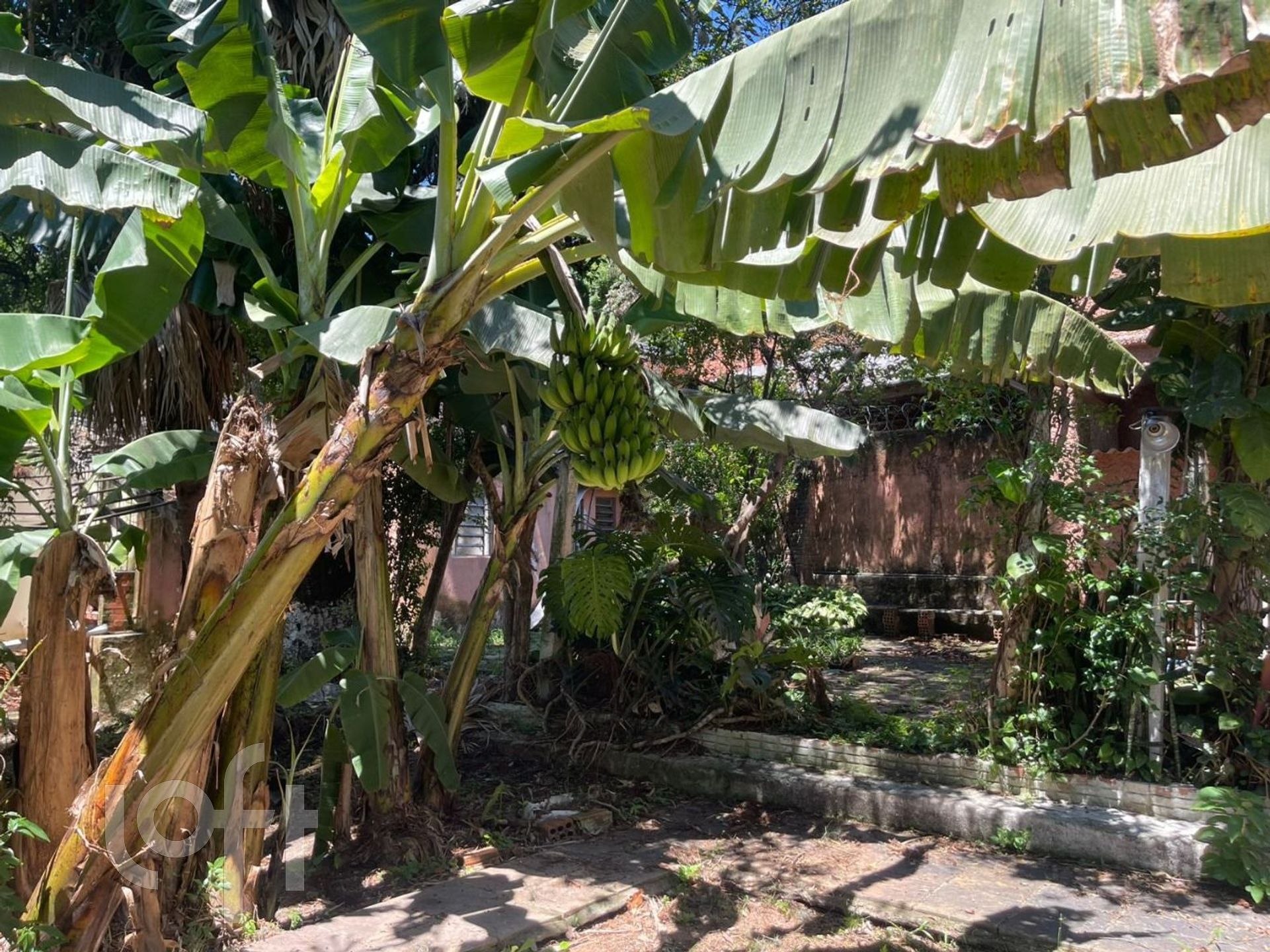 Imagem da propriedade 13