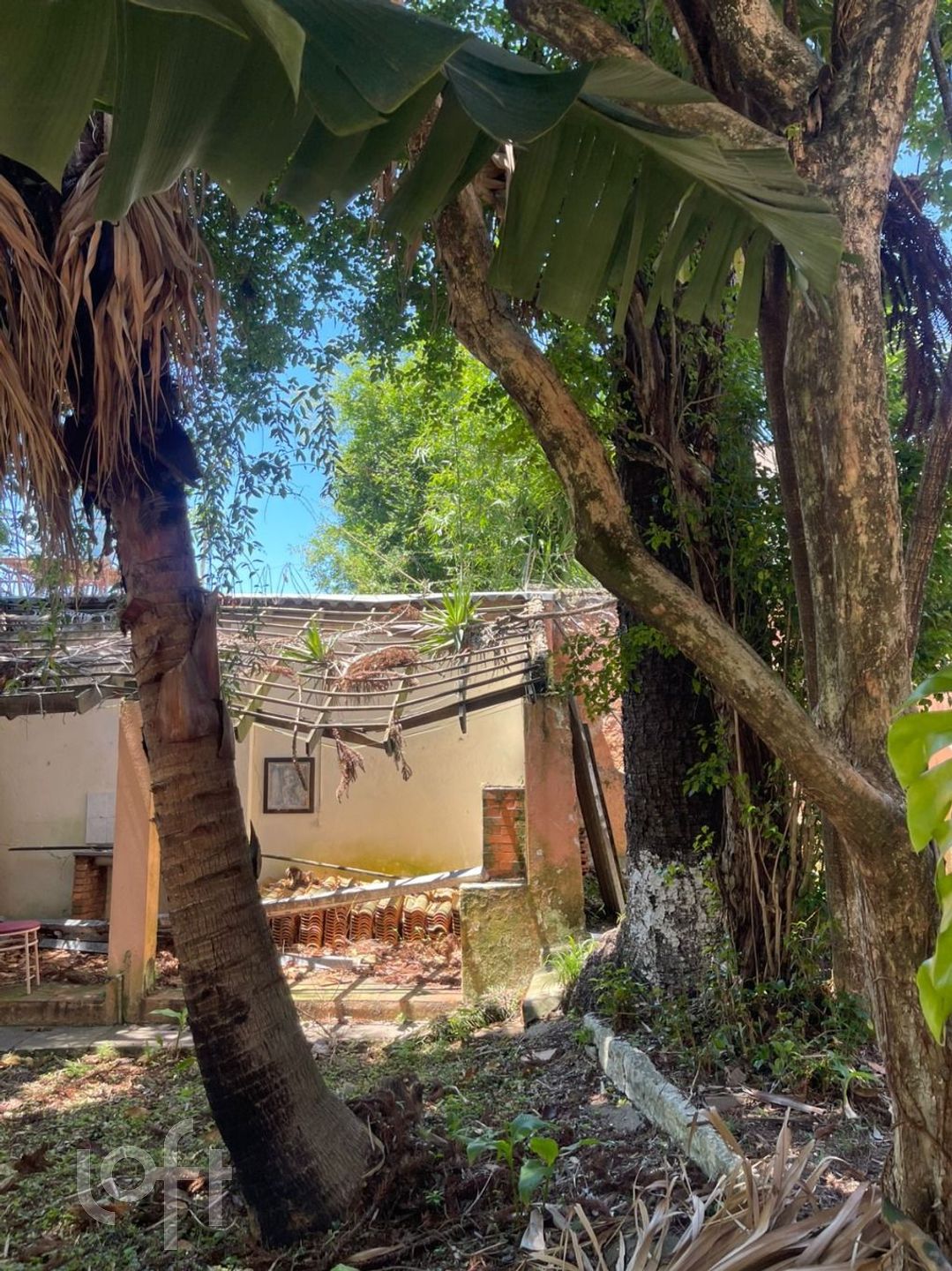 Imagem da propriedade 12