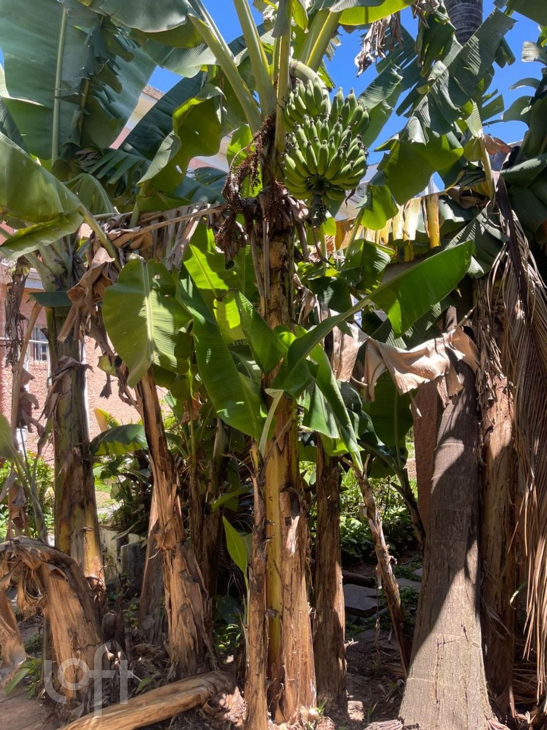 Imagem da propriedade 14