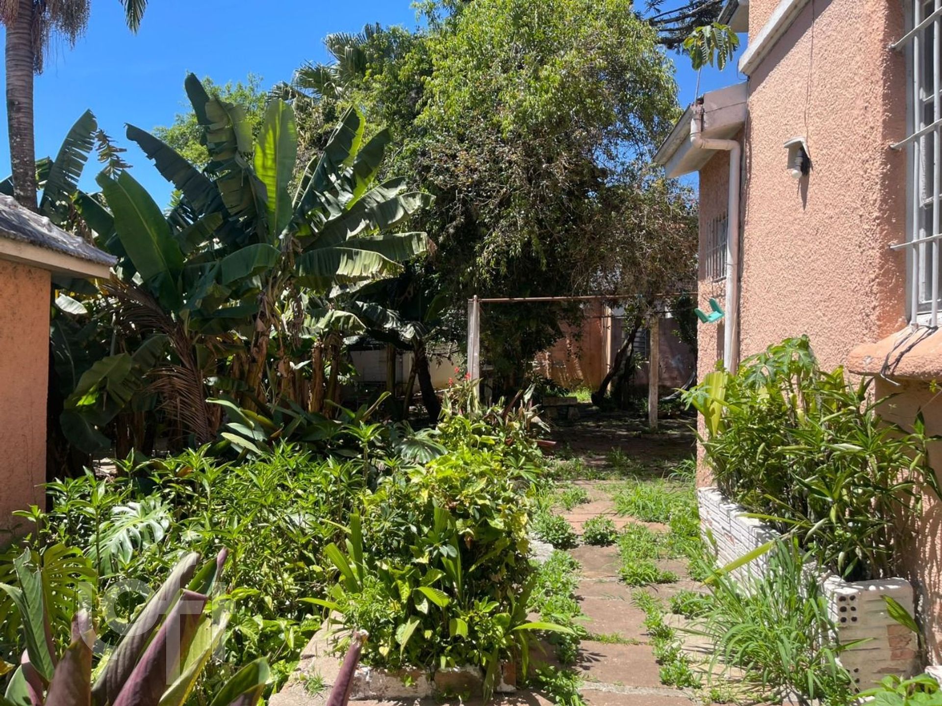 Imagem da propriedade 7