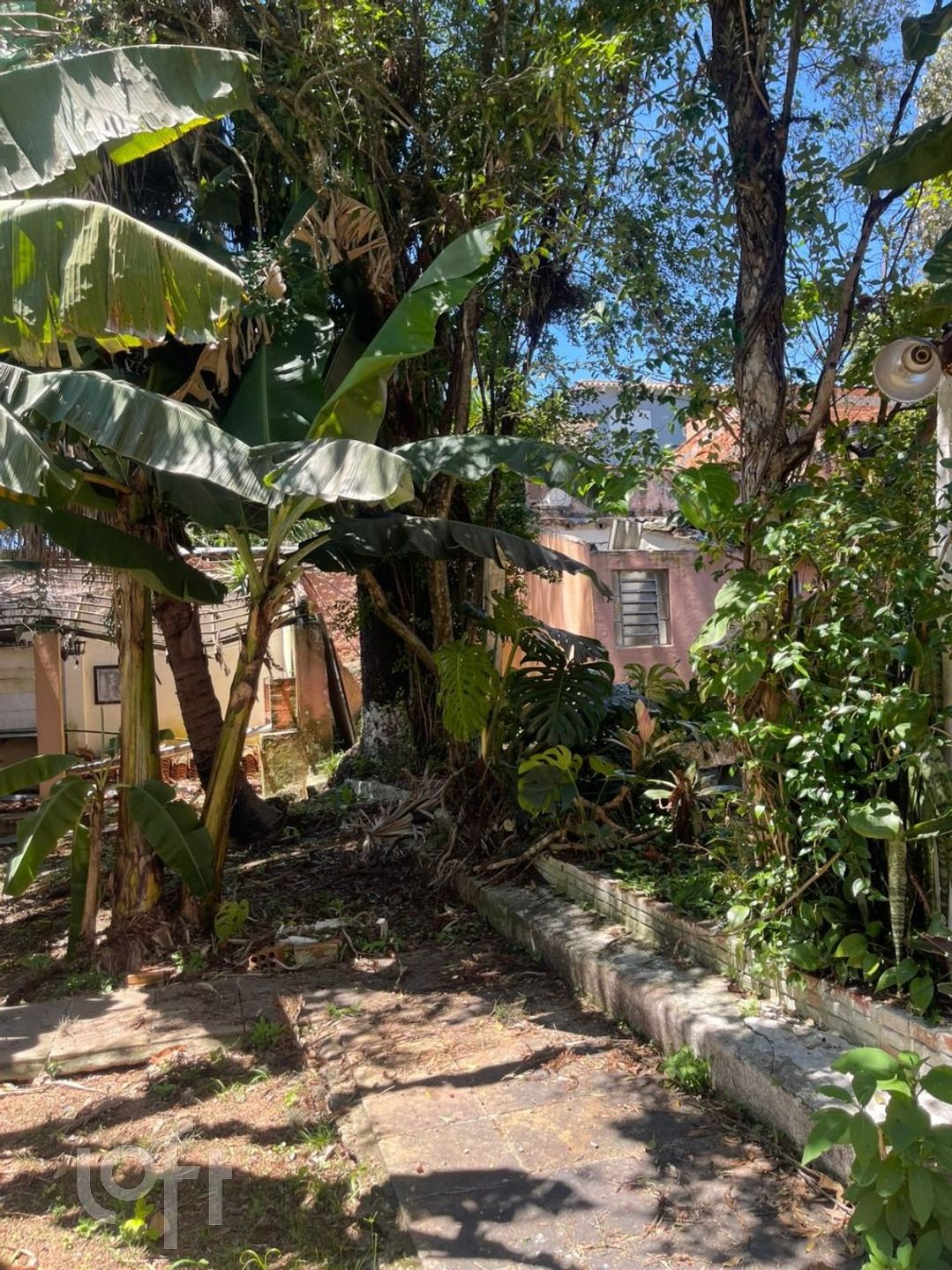 Imagem da propriedade 15