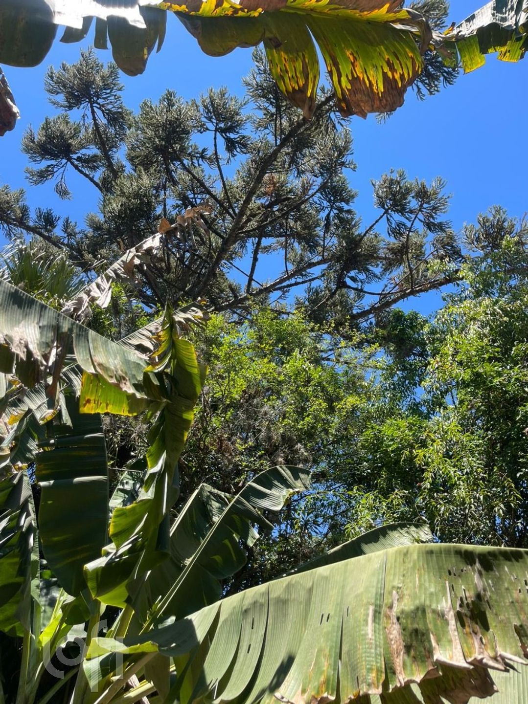 Imagem da propriedade 11