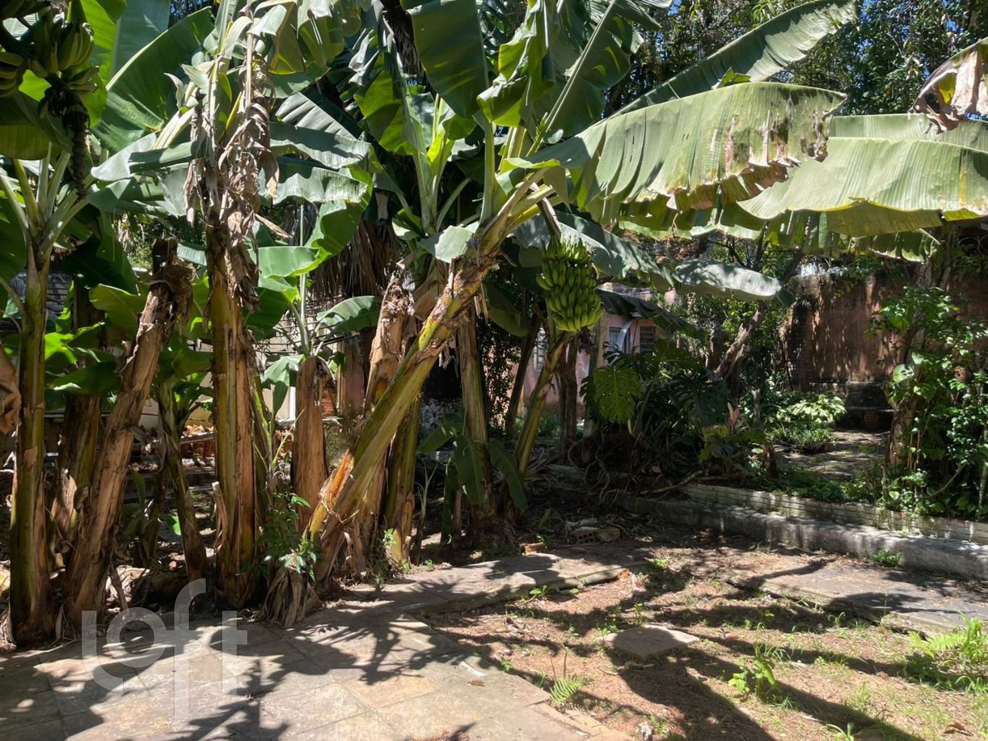 Imagem da propriedade 9