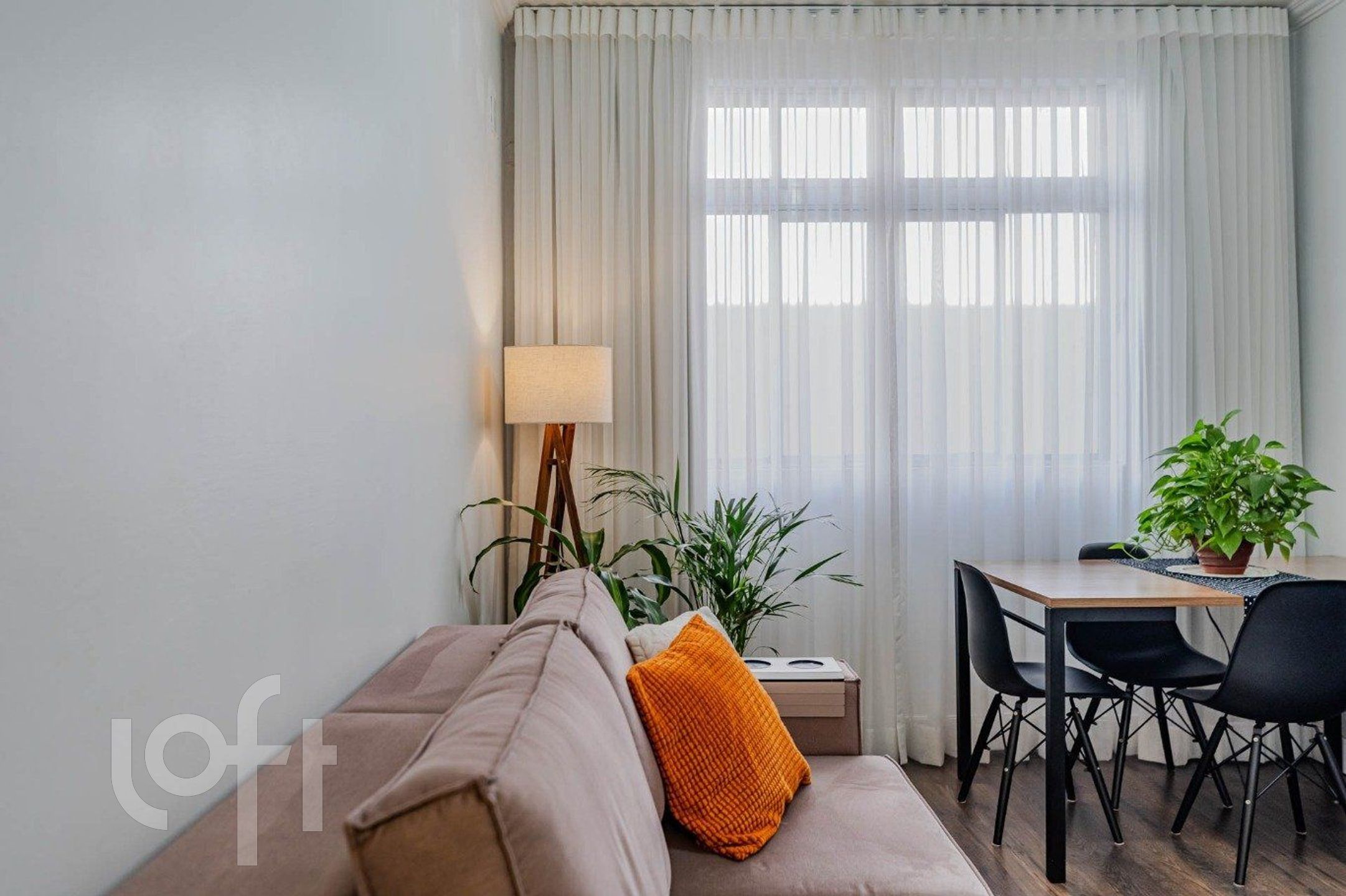 Imagem da propriedade 3