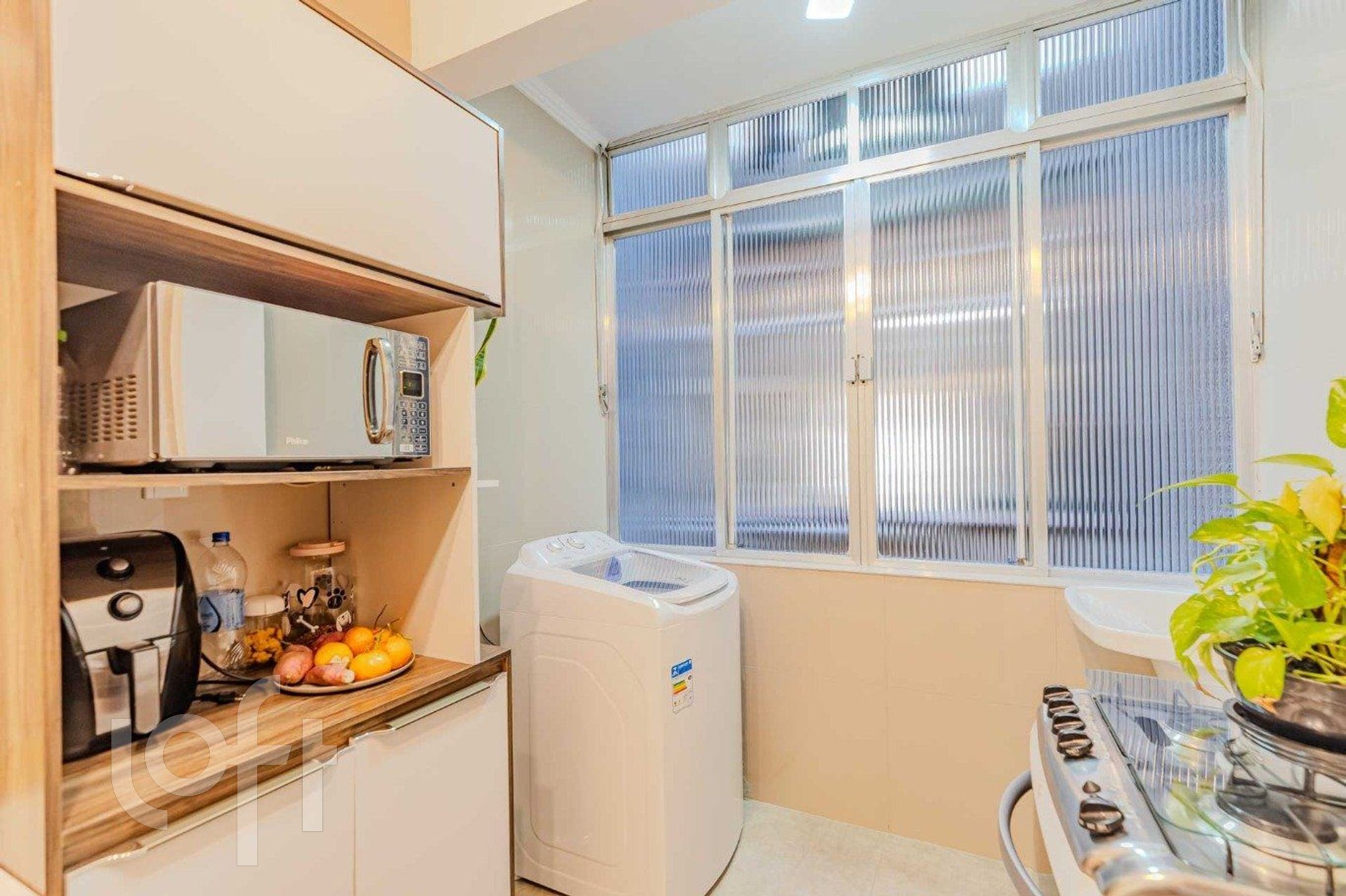 Imagem da propriedade 6