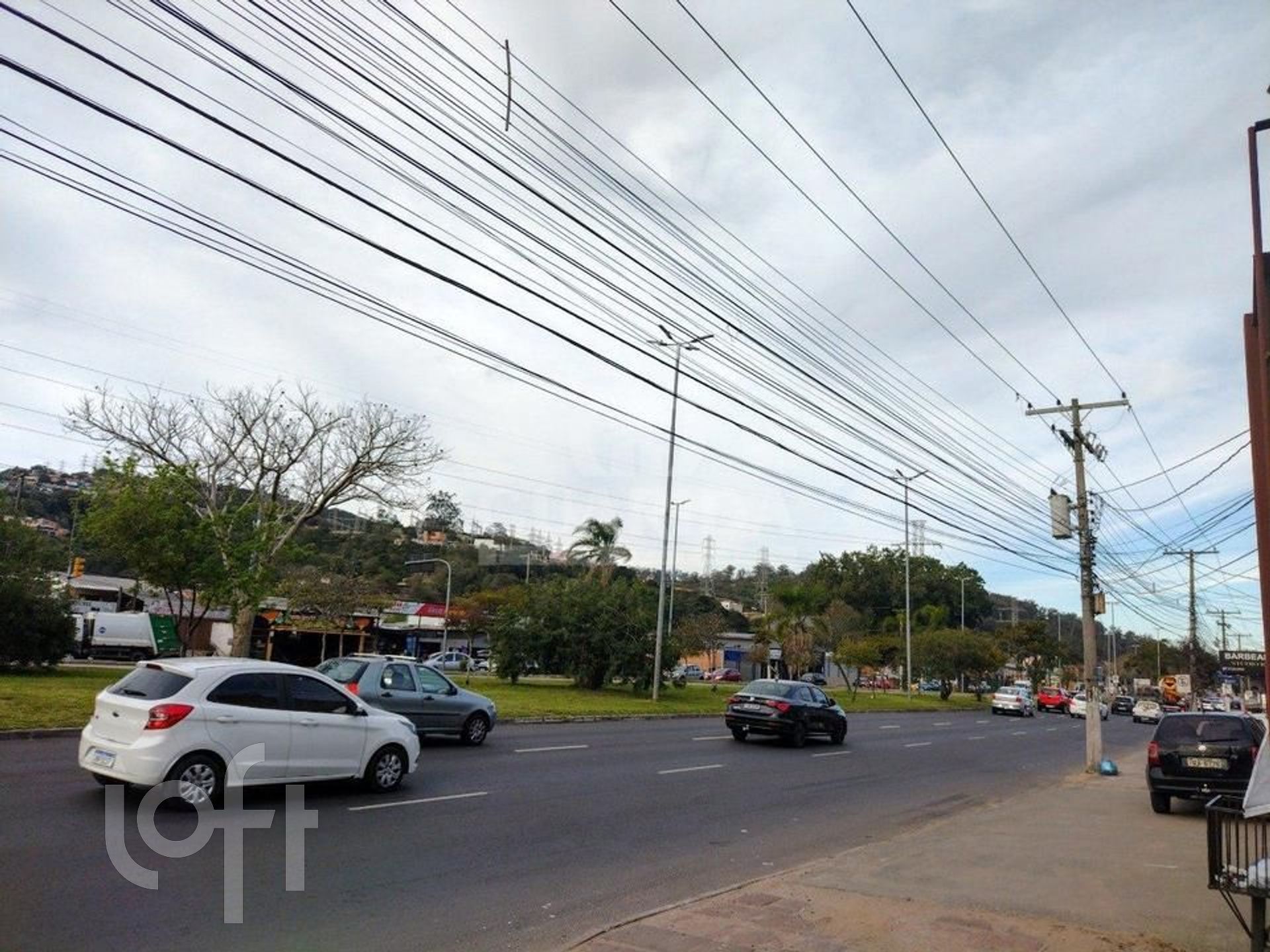 Imagem da propriedade 4