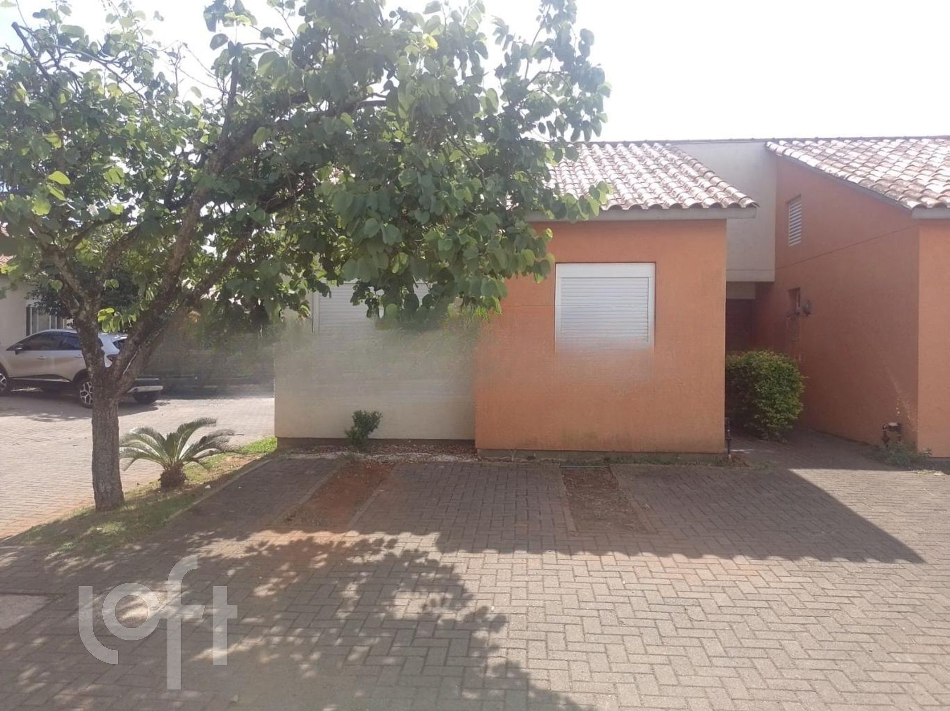 Imagem da propriedade 3