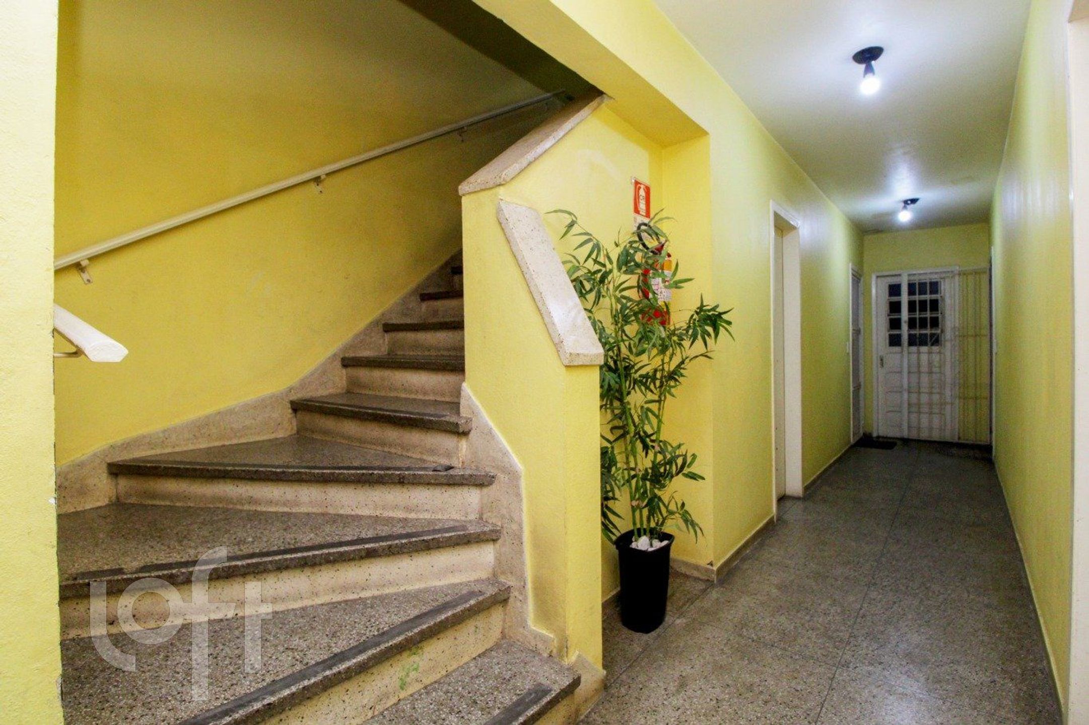 Imagem da propriedade 20