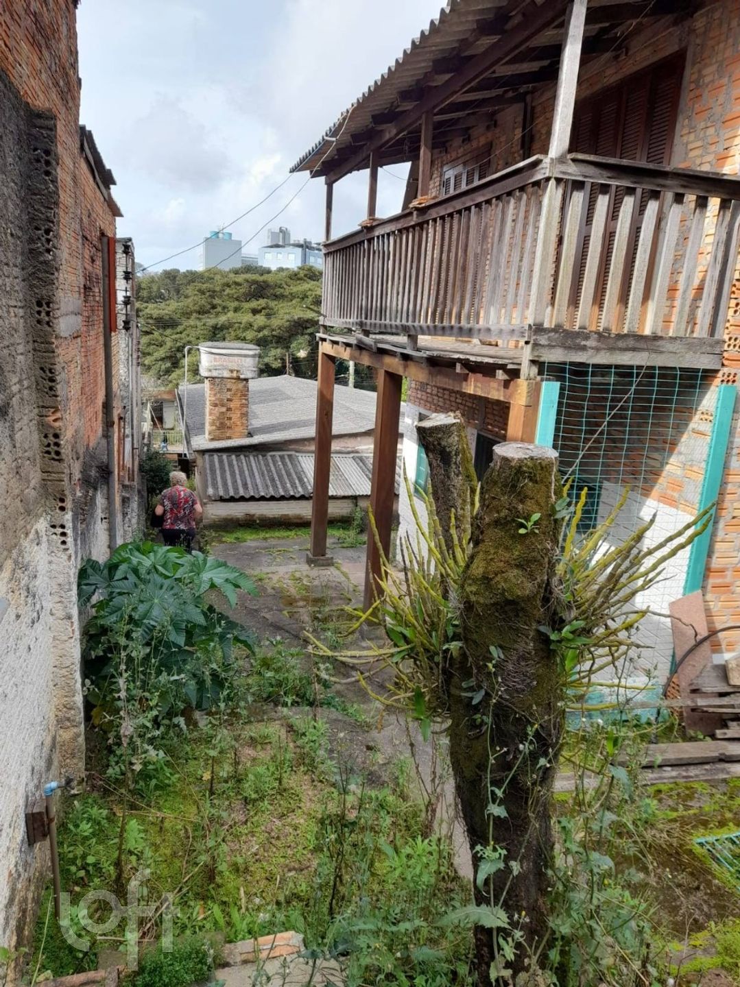 Imagem da propriedade 17