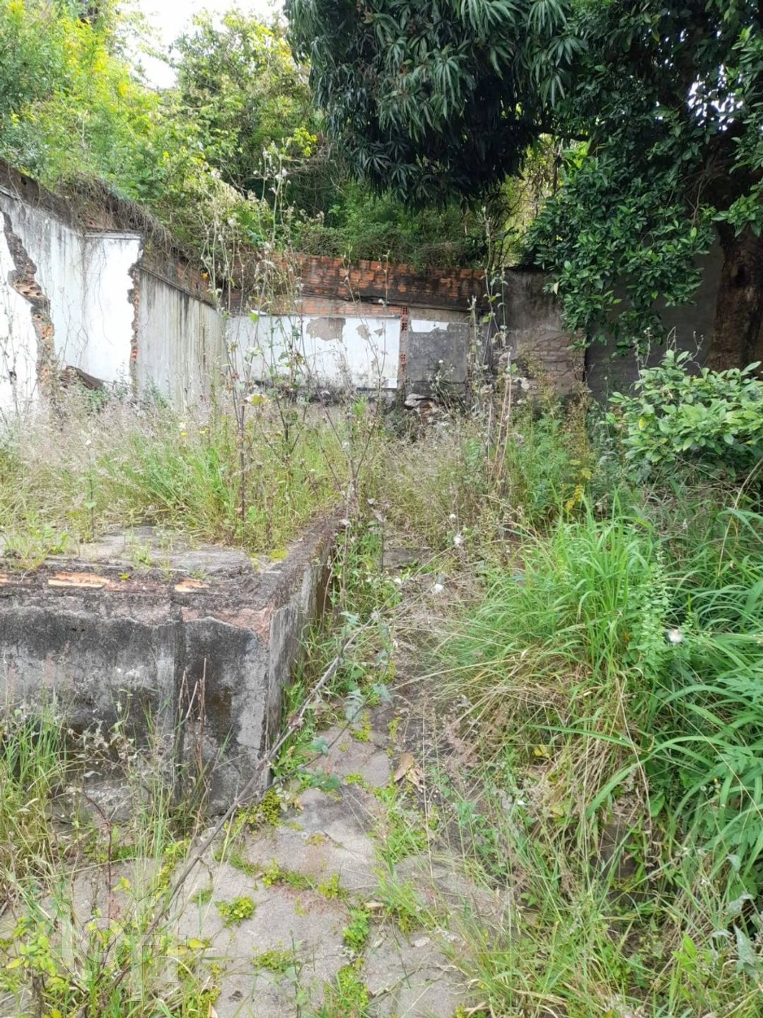 Imagem da propriedade 13